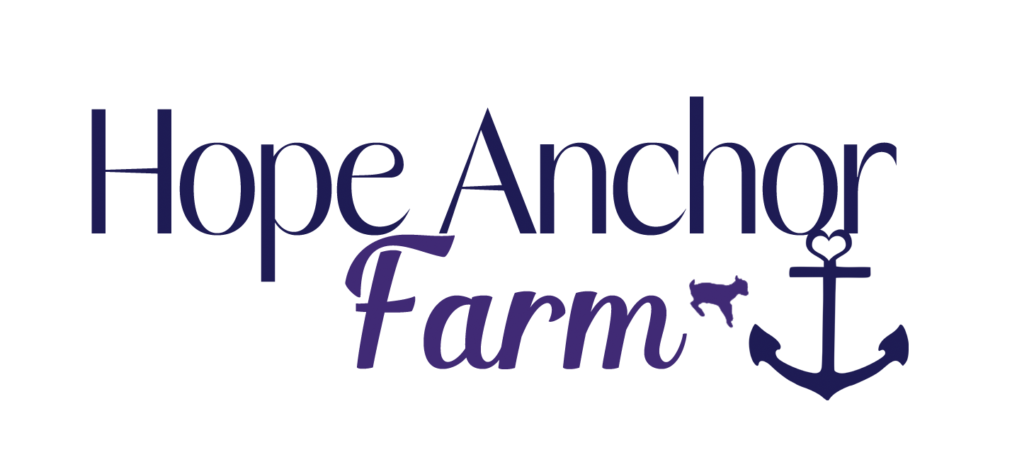 Hope Anchor Farm