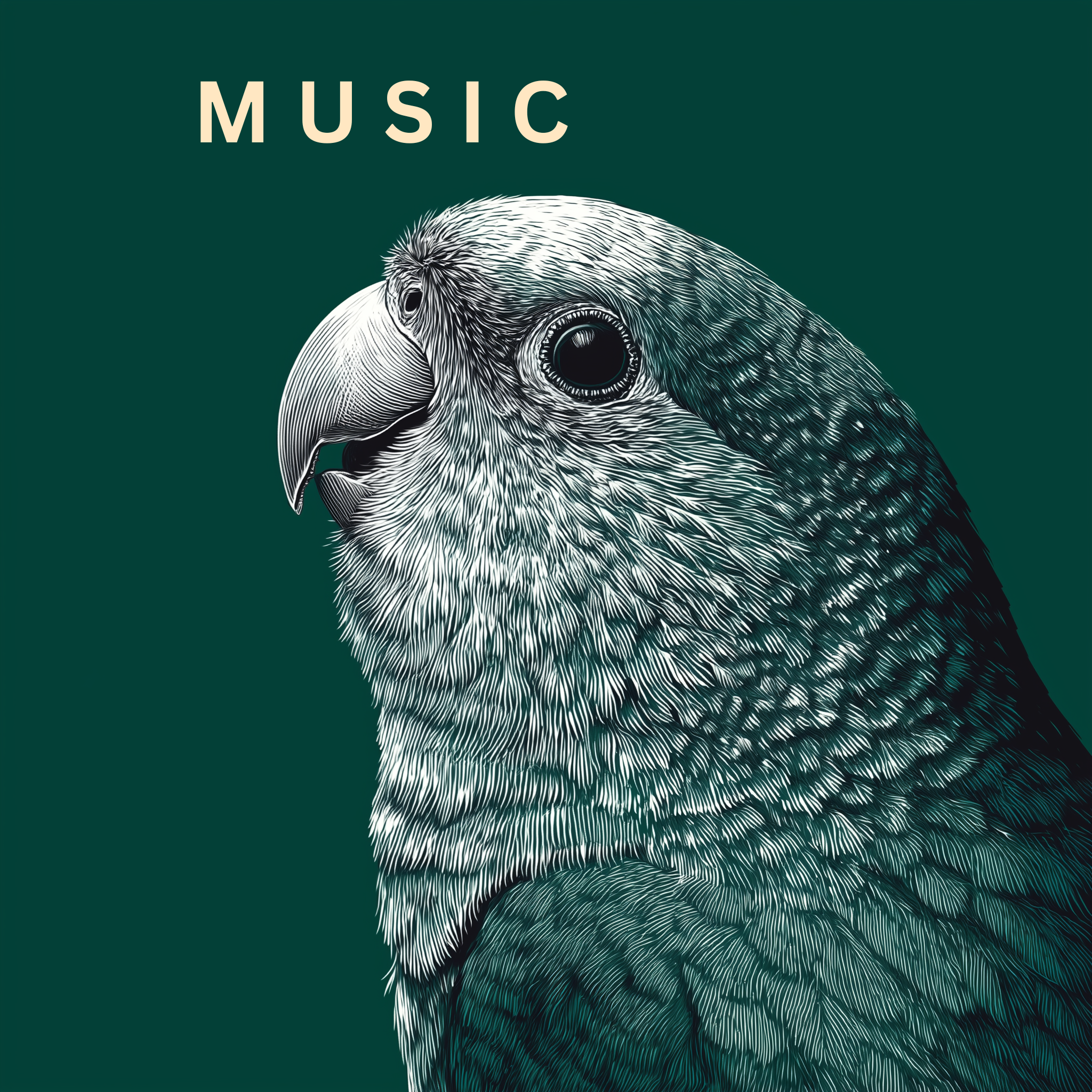 Legacy: Music