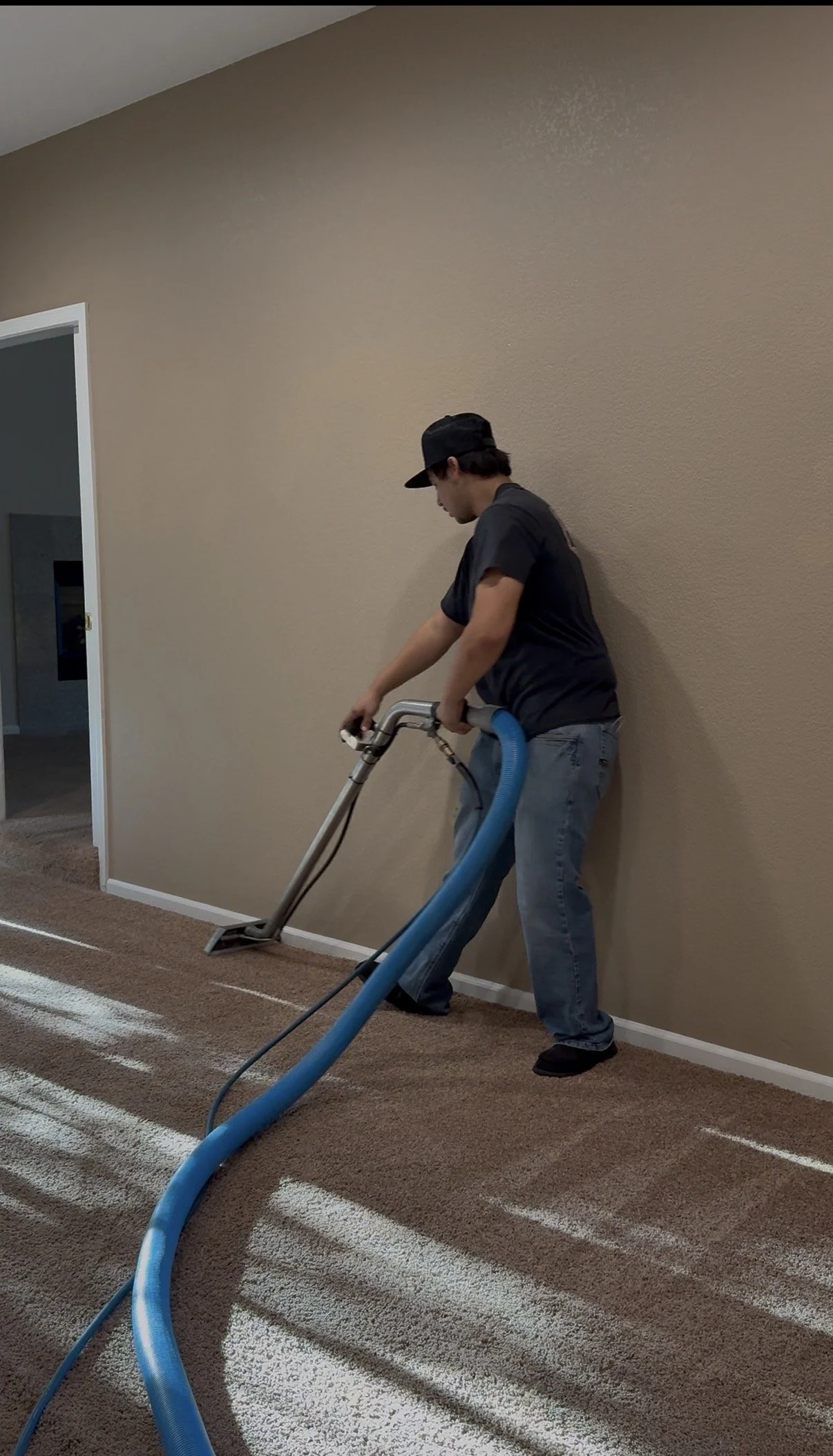 Steam Carpet Cleaning