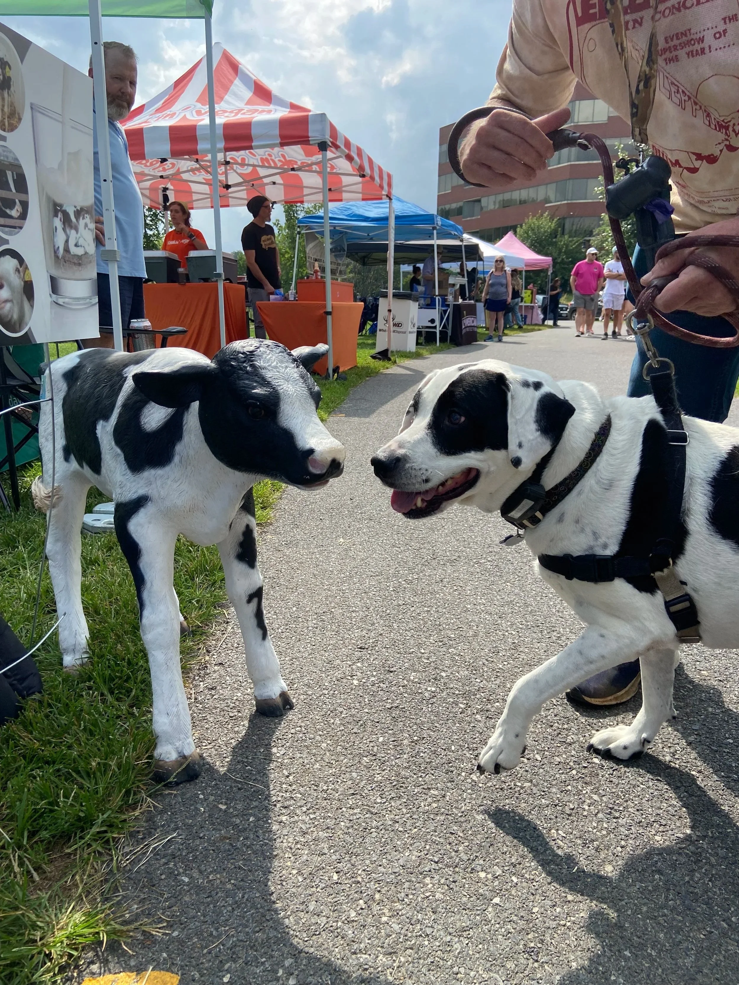 Uhuru Flea Market Benefit by Animal ACTivists of Philly