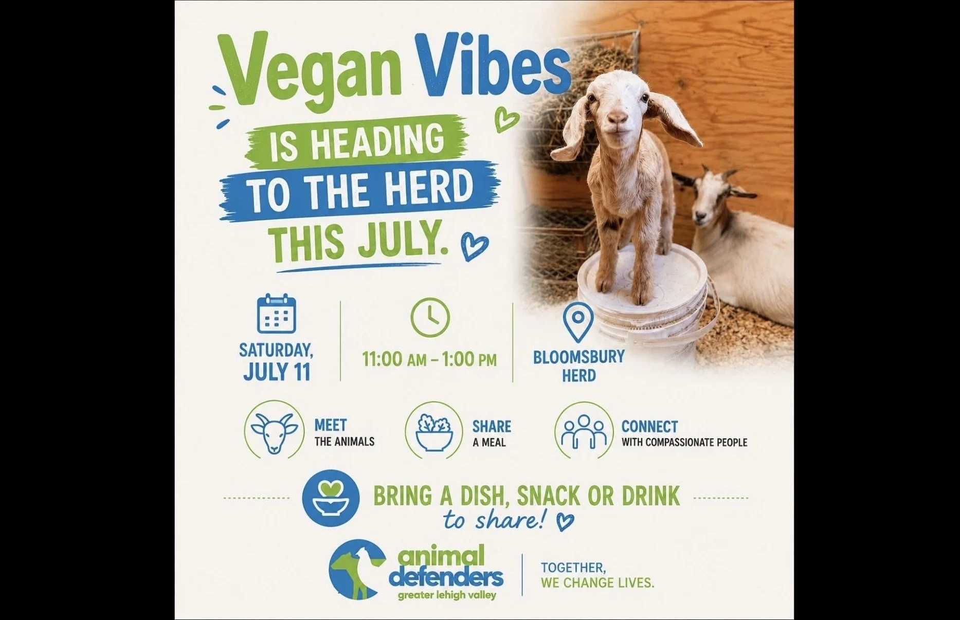 Vegan Vibes Potluck
