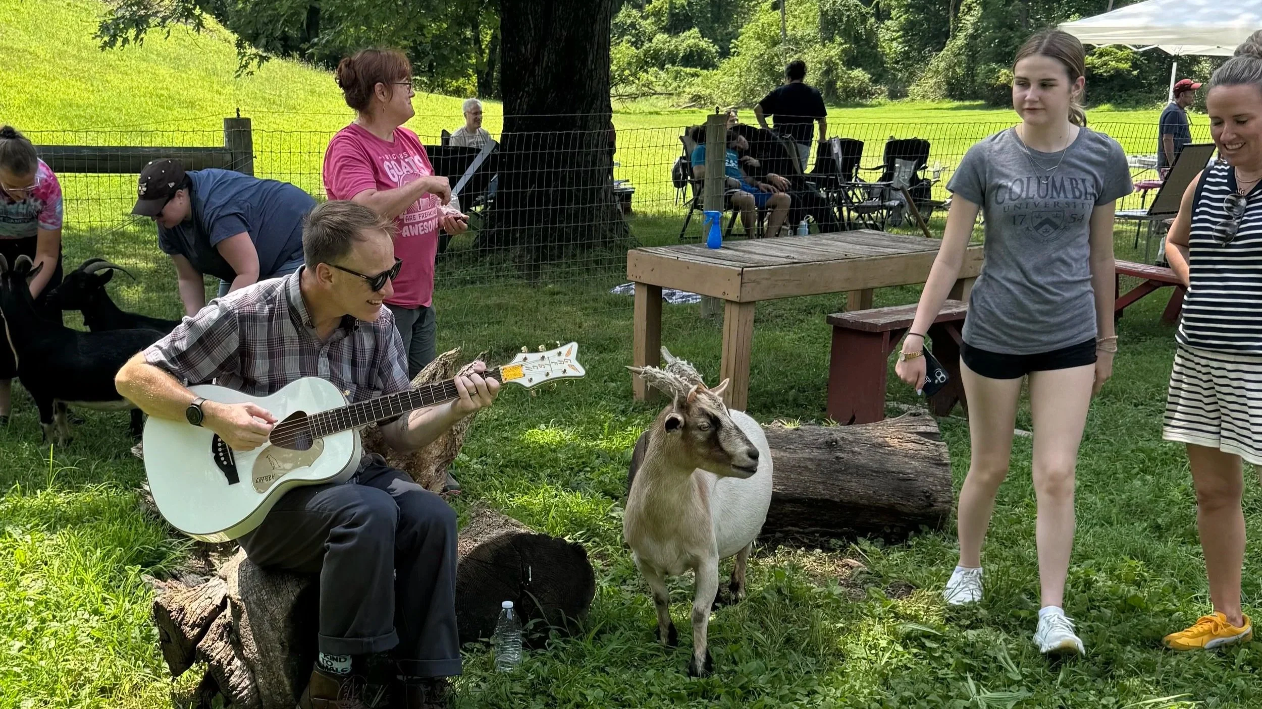 Vegan Vibes Potluck Gathering by Animal Defenders GLV