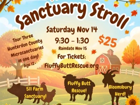 Autumn Sanctuary Stroll