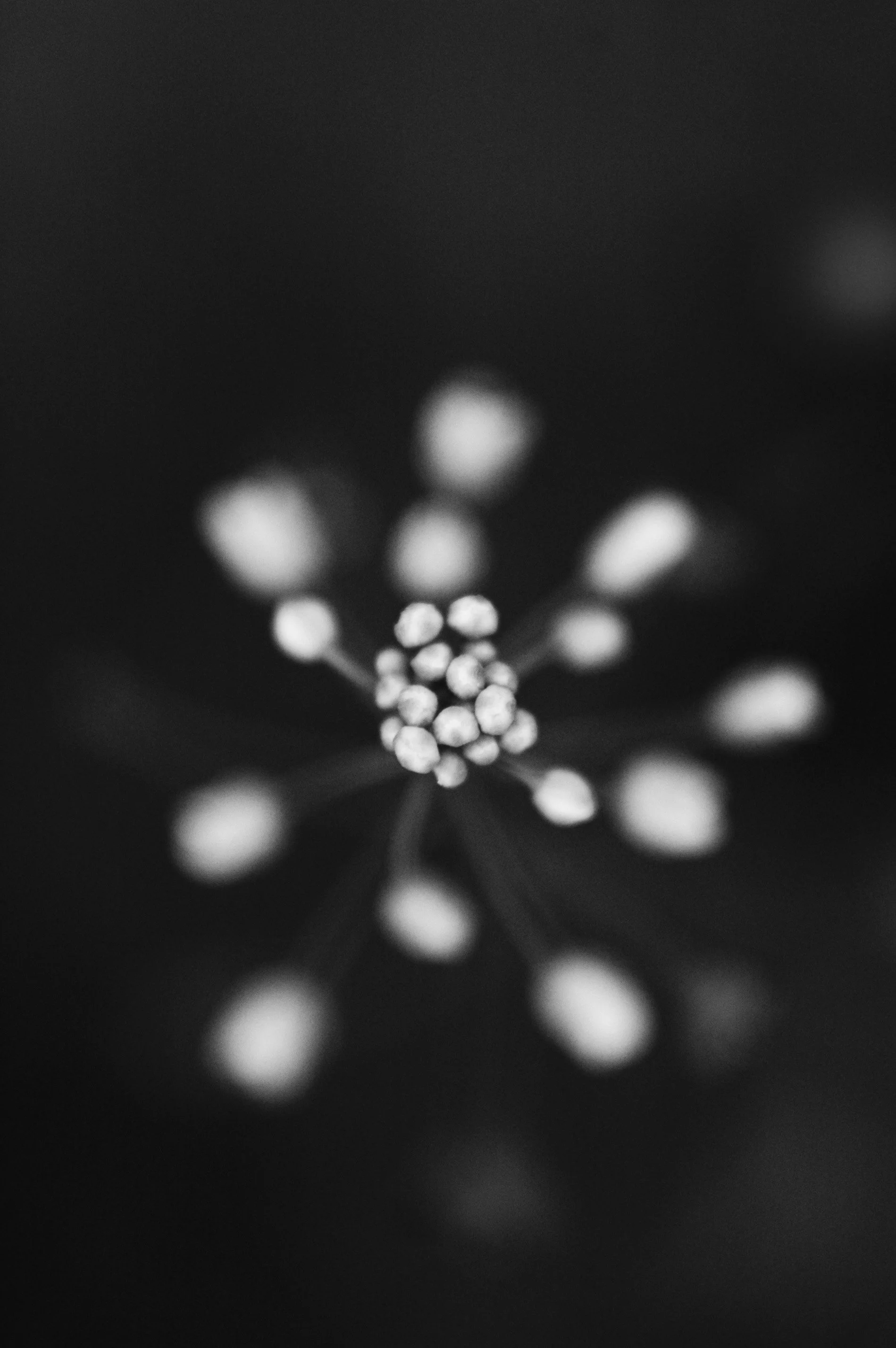 dots