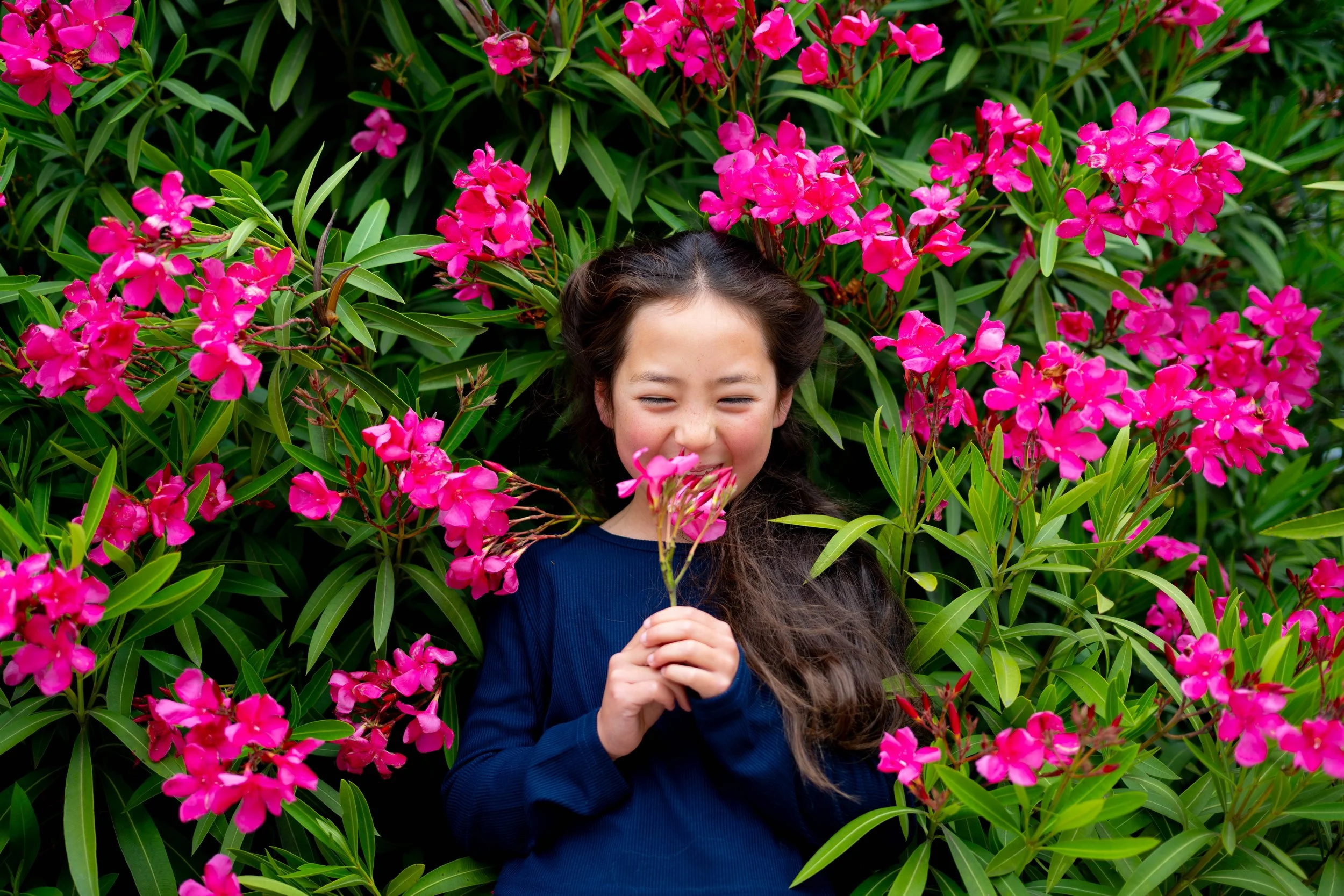 pink blooming