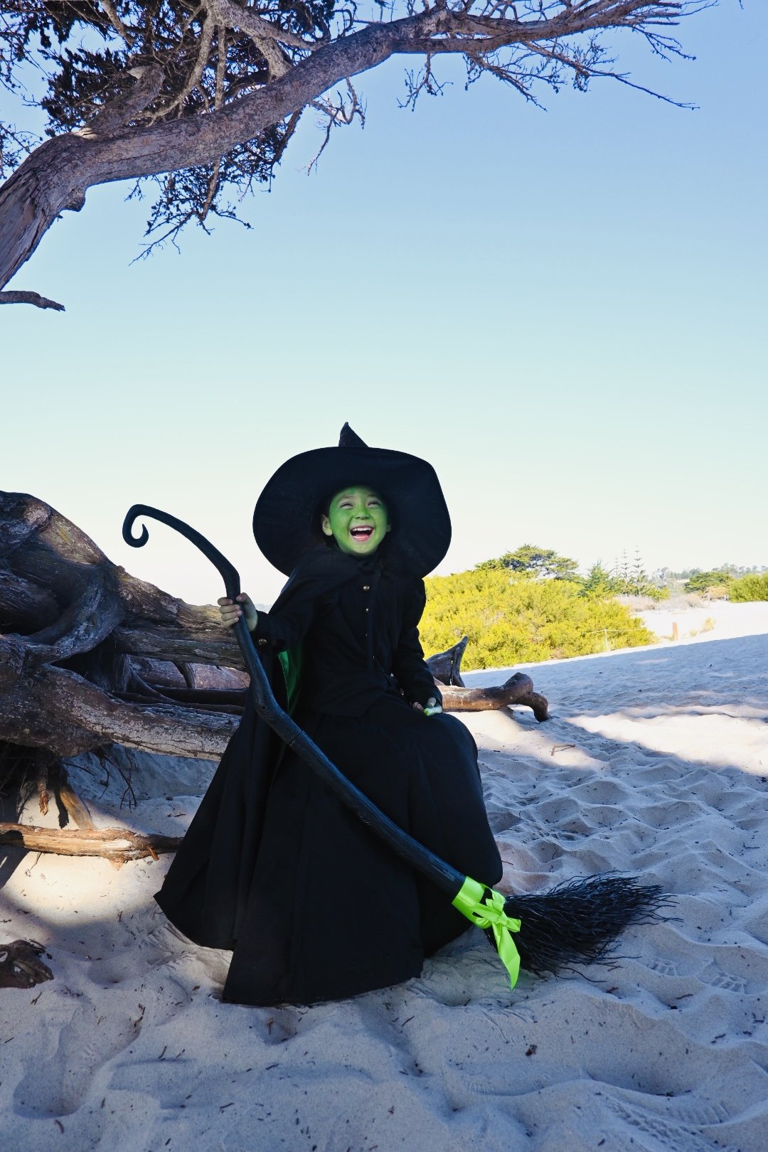 wicked