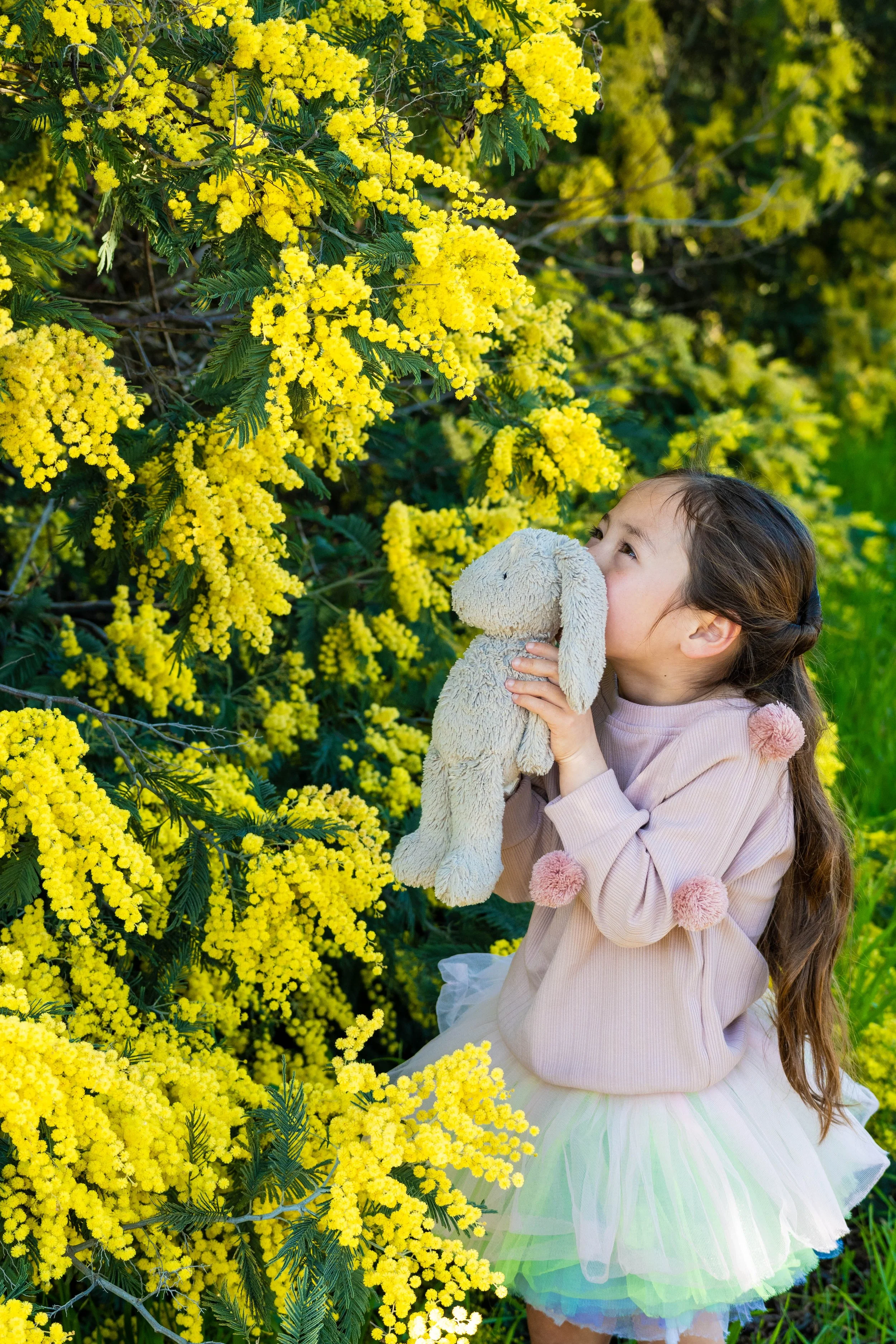 Spring in yellow