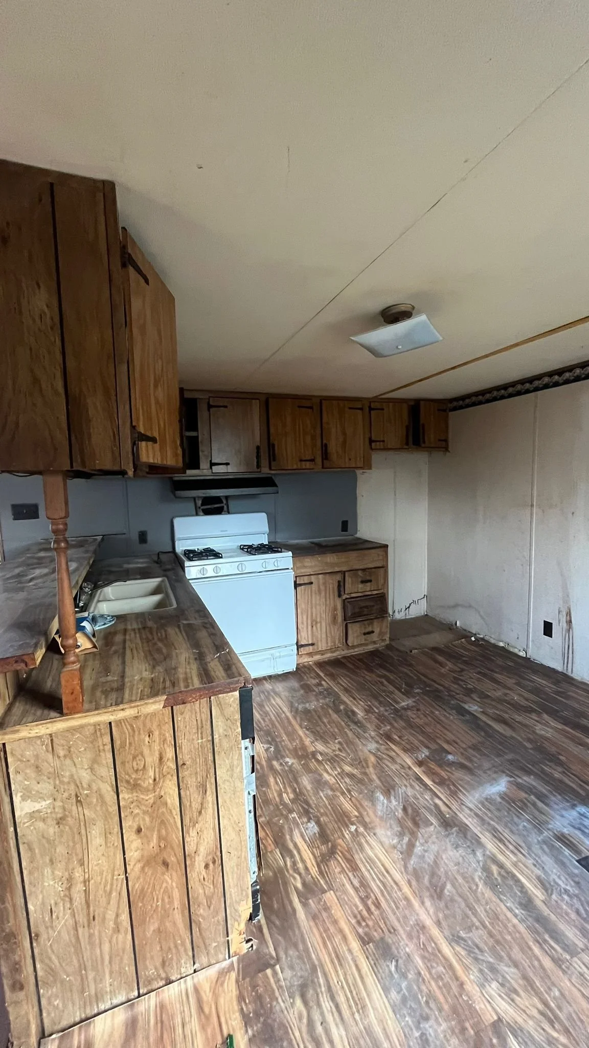 PHOTO-2025-01-17-13-51-16 2.JPG