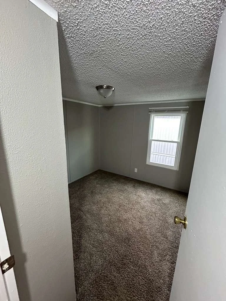 PHOTO-2026-01-09-17-06-34 2.JPG