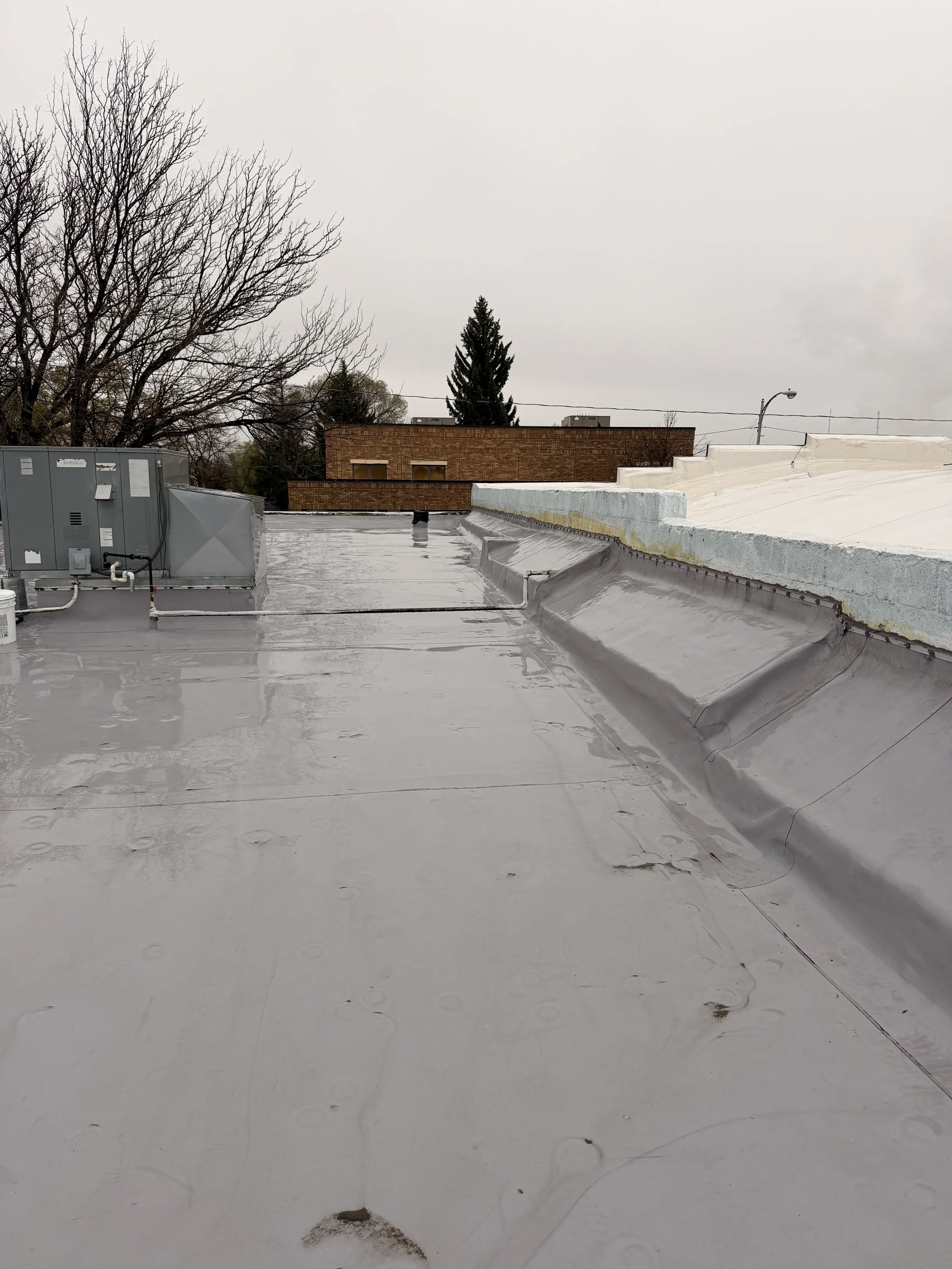 Image of a rooftop with a reflective, white coating, a rooftop HVAC unit, leafless trees, a brick building, and an overcast sky.