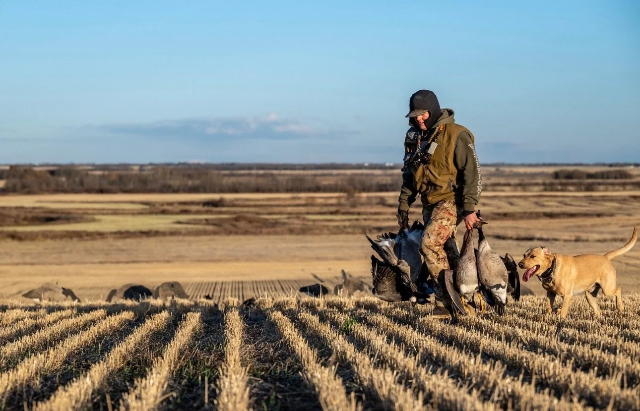 A person dressed in hunting gear holding a large turkey and some ducks, walking across a harvested farmland with a hunting dog nearby.