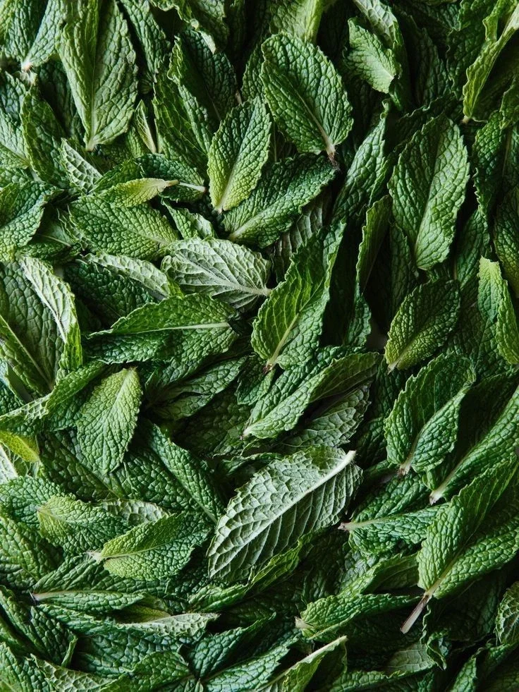 Peppermint.webp