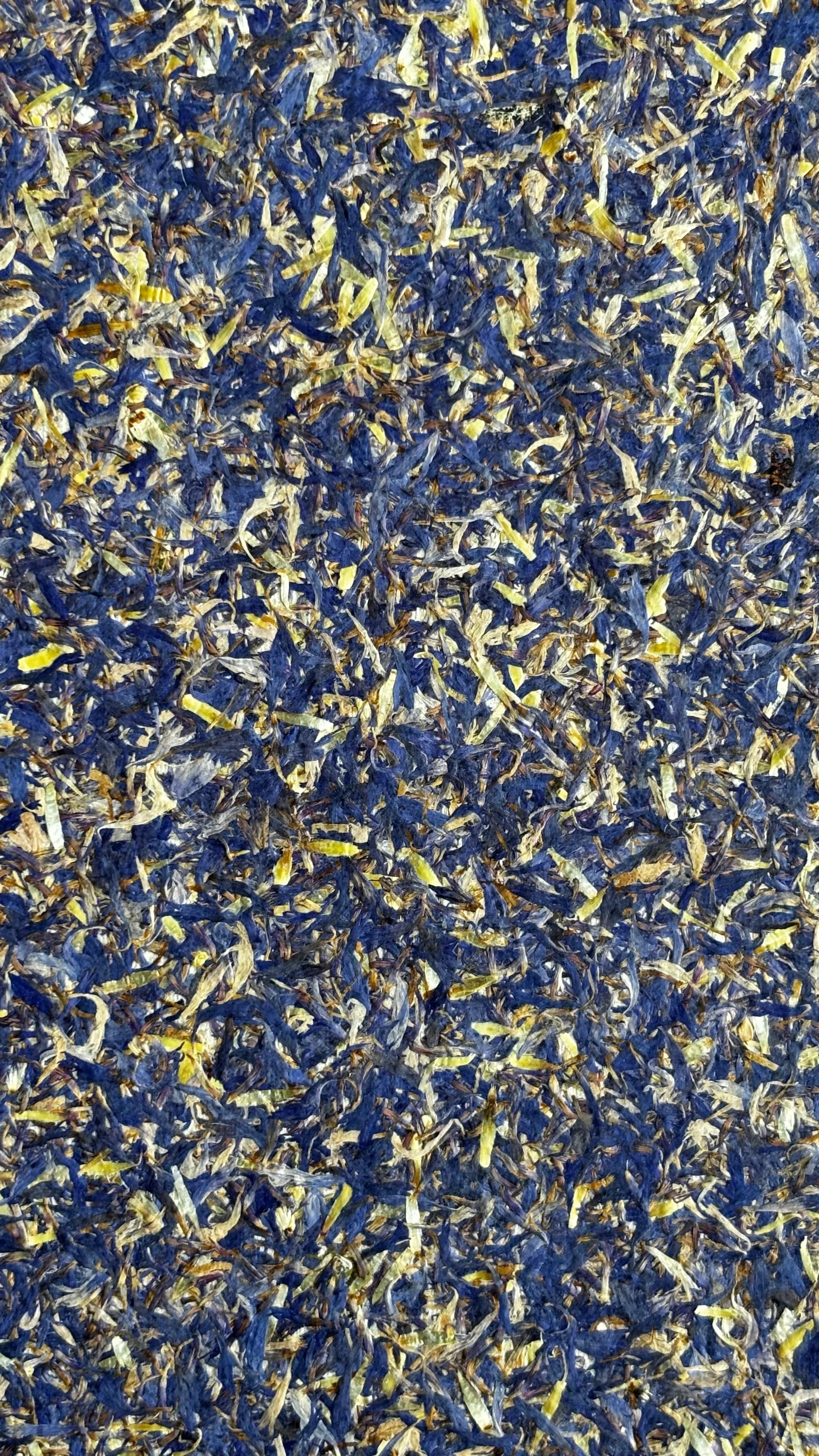 cornflower petals.webp