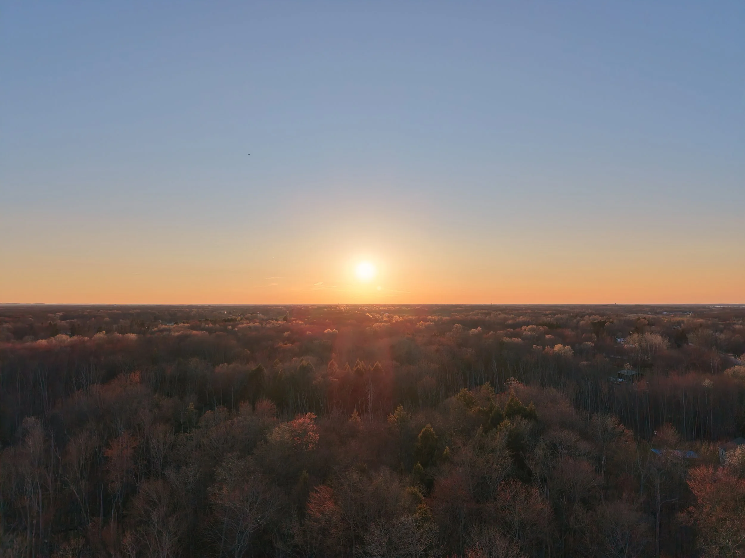 Sunset over a forest with trees and a clear sky.