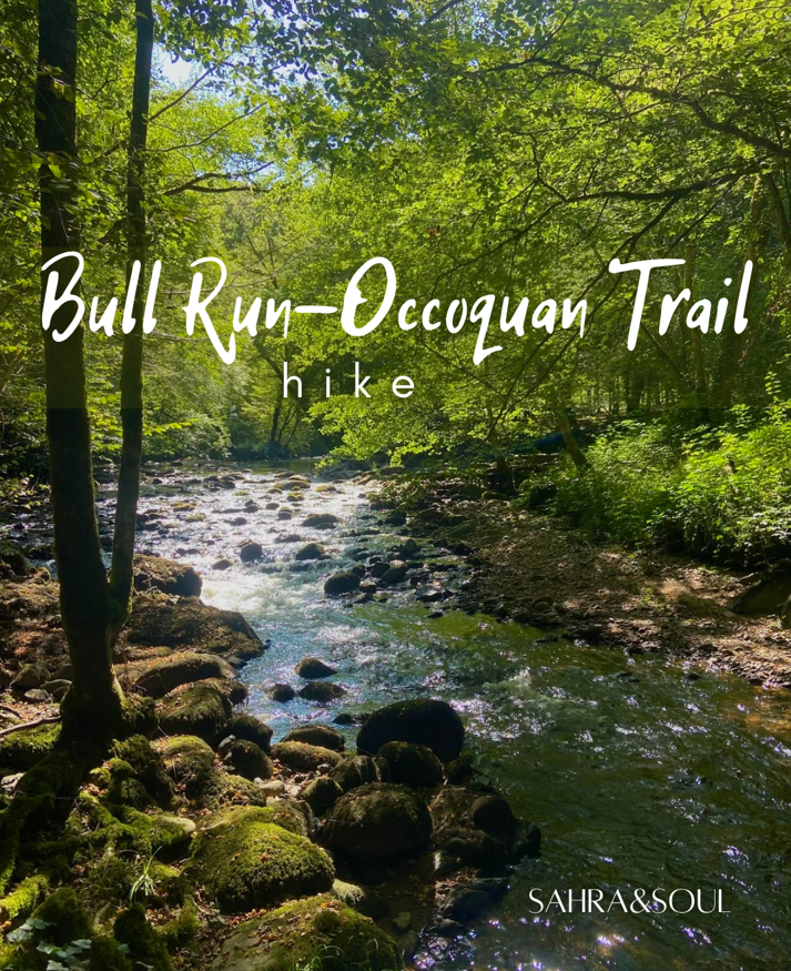 Bull Run-Occoquan Trail Hike