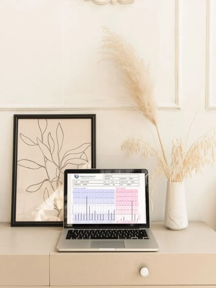 Laptop on a white desk displaying a spreadsheet or data chart, with a framed line drawing of plant leaves to the left and a tall white vase with dried grasses to the right, against a white wall.