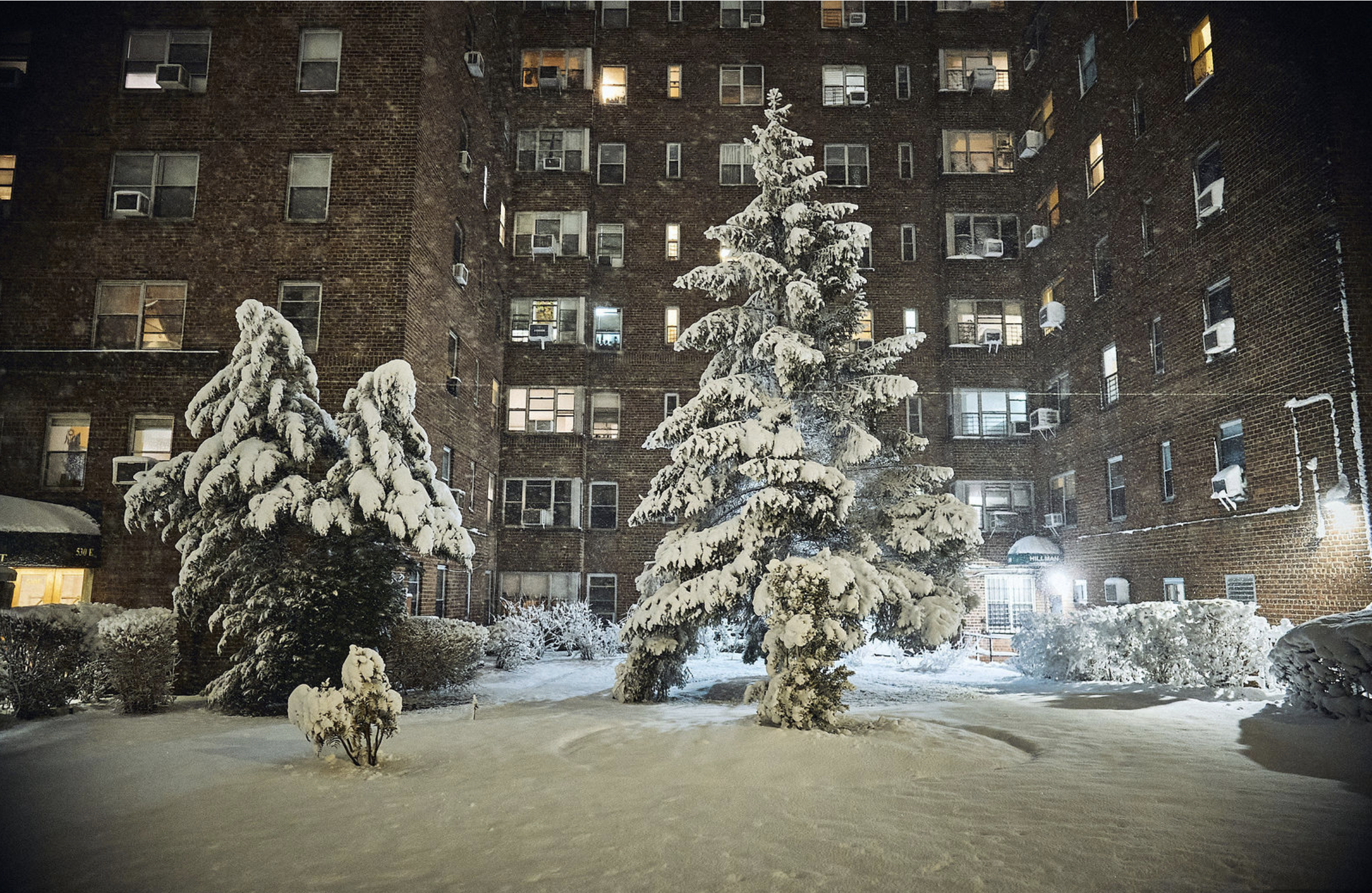 A snow-covered evergreen tree outside of a building