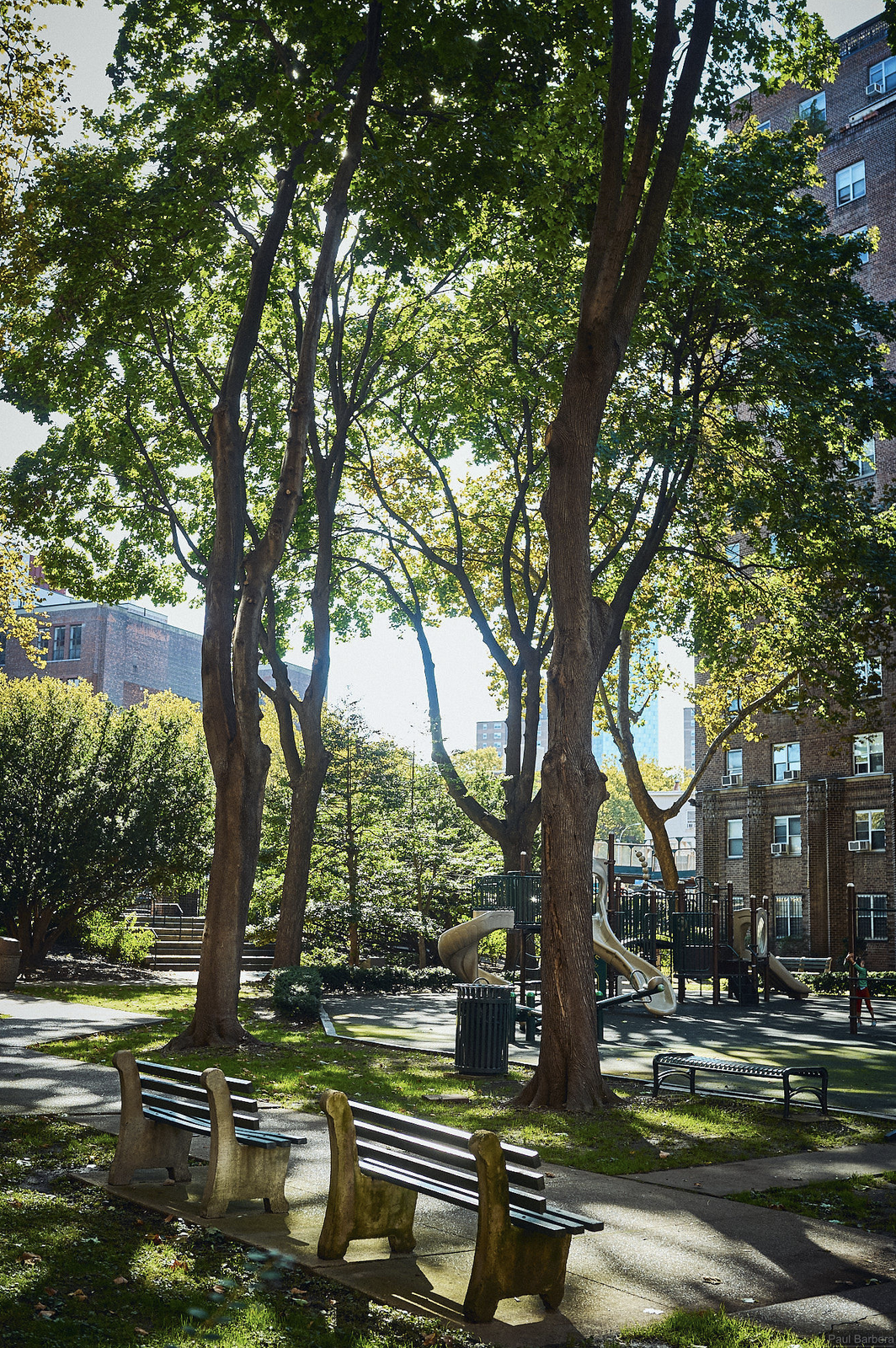 Trees and playground equipment in a shady park