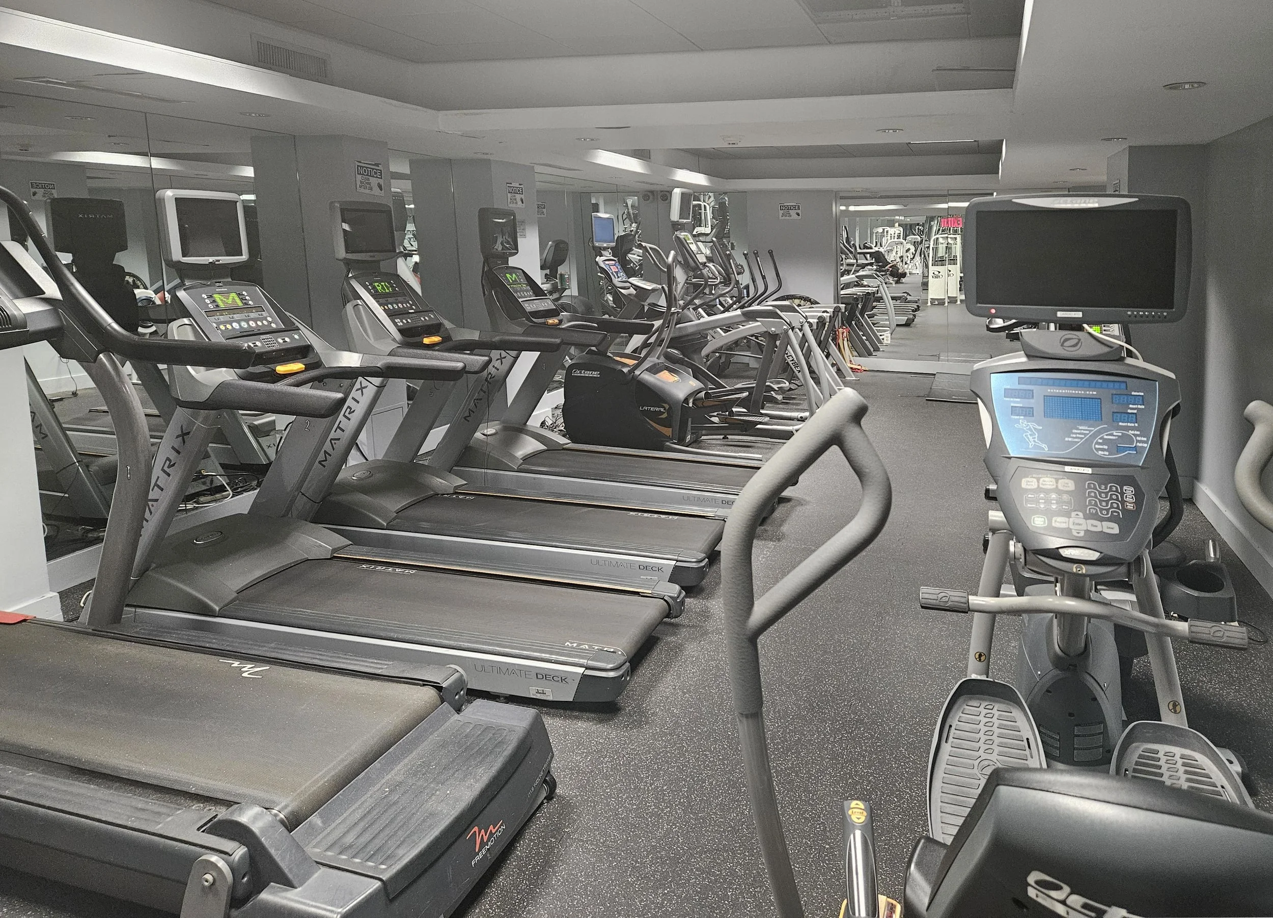 A gym containing treadmills and stationary bicycles