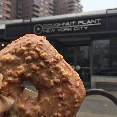 A closeup of a donut