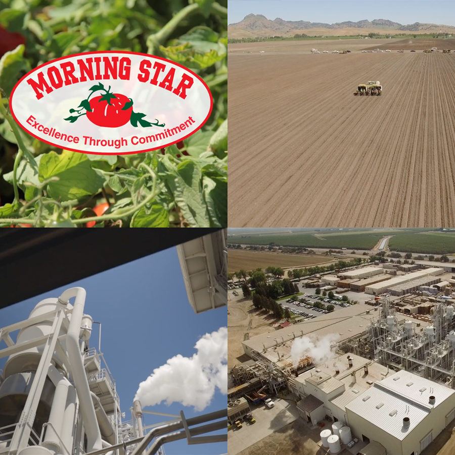 A collage of four images: top left shows a tomato farm with a logo reading 'Morning Star' and 'Excellence Through Commitment'; top right shows a large agricultural field with farm equipment; bottom left depicts part of an industrial facility with pipes against a blue sky; bottom right shows an industrial plant with structures, pipelines, and smoke emissions.