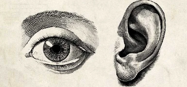 Etching depicting an eye and an ear