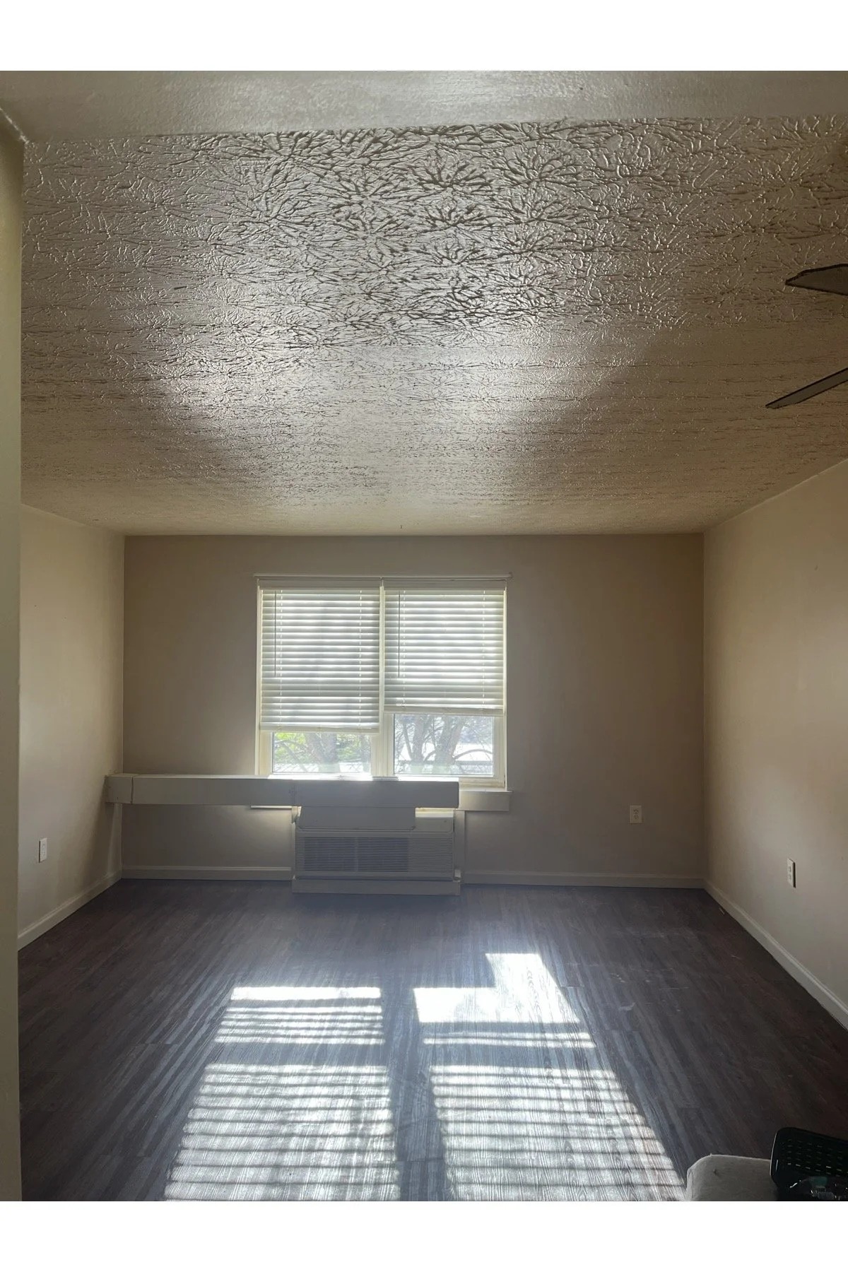Living Room.jpg