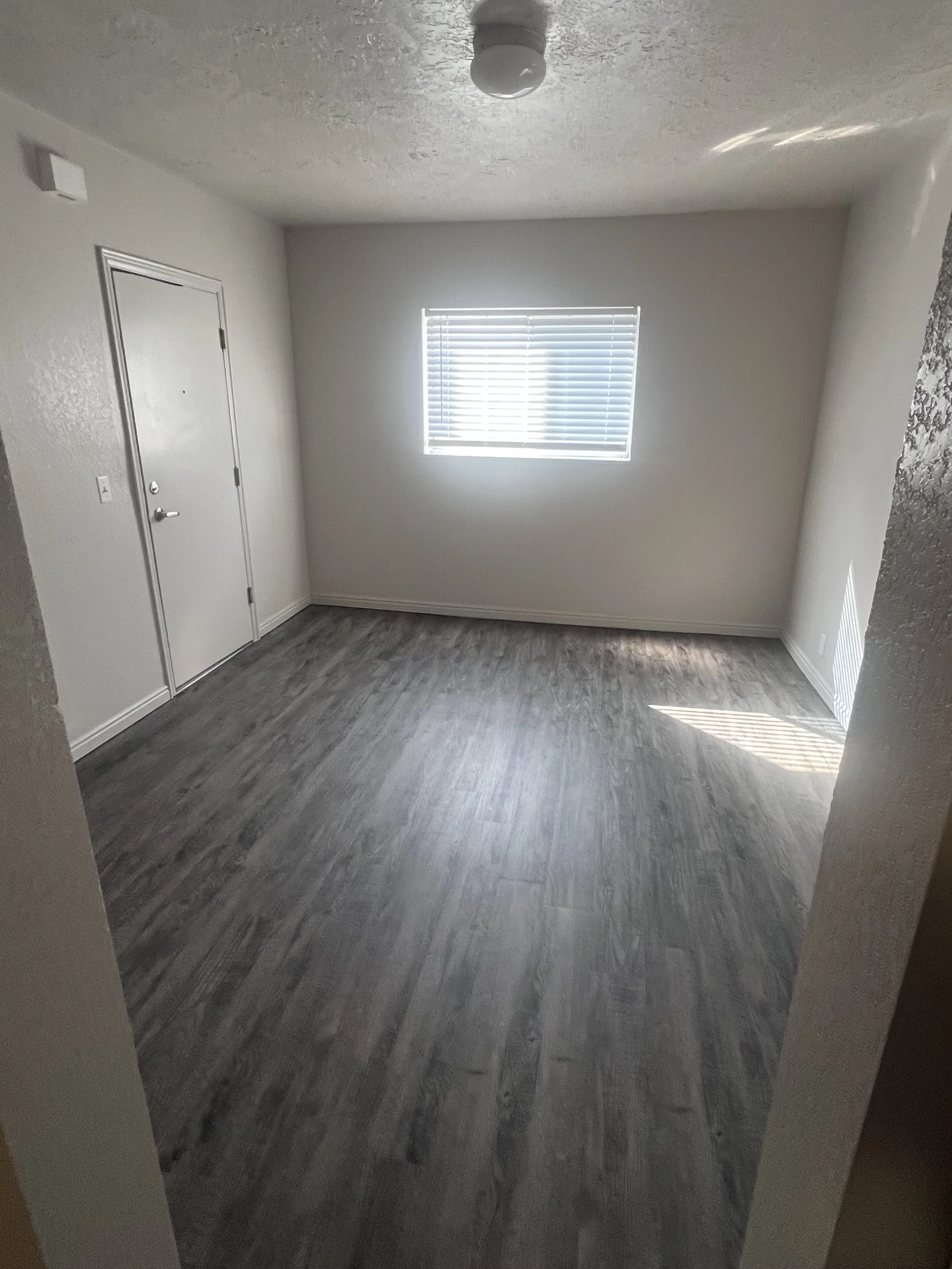 Living room 2026.jpeg