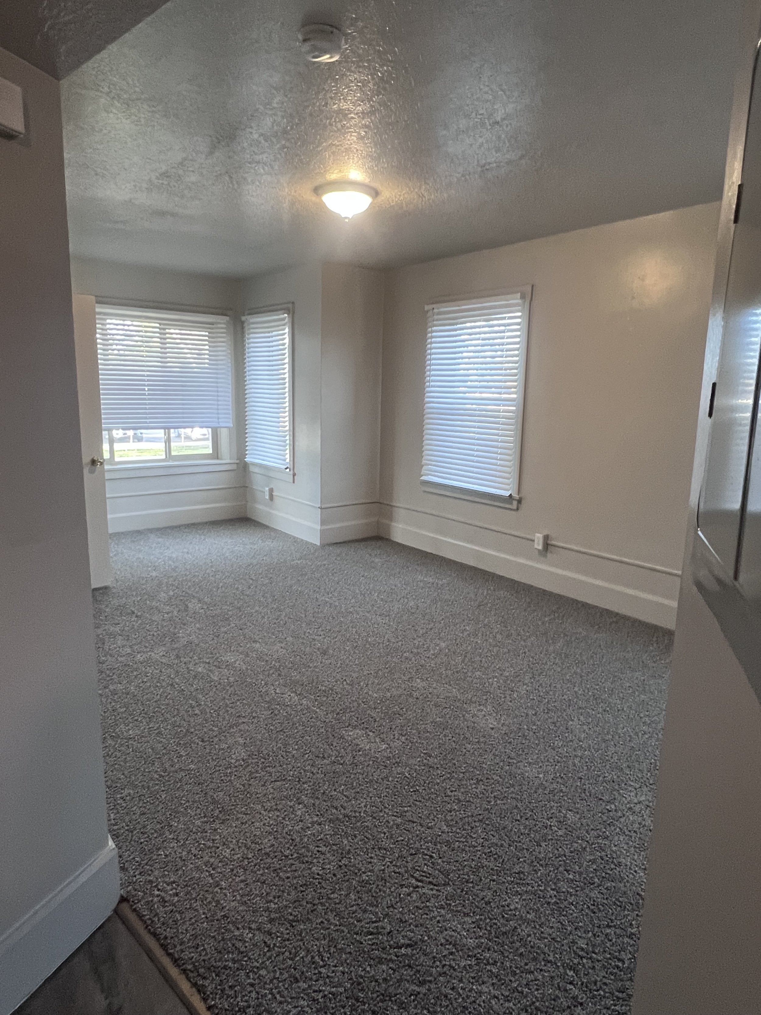 Hoover living room.jpeg