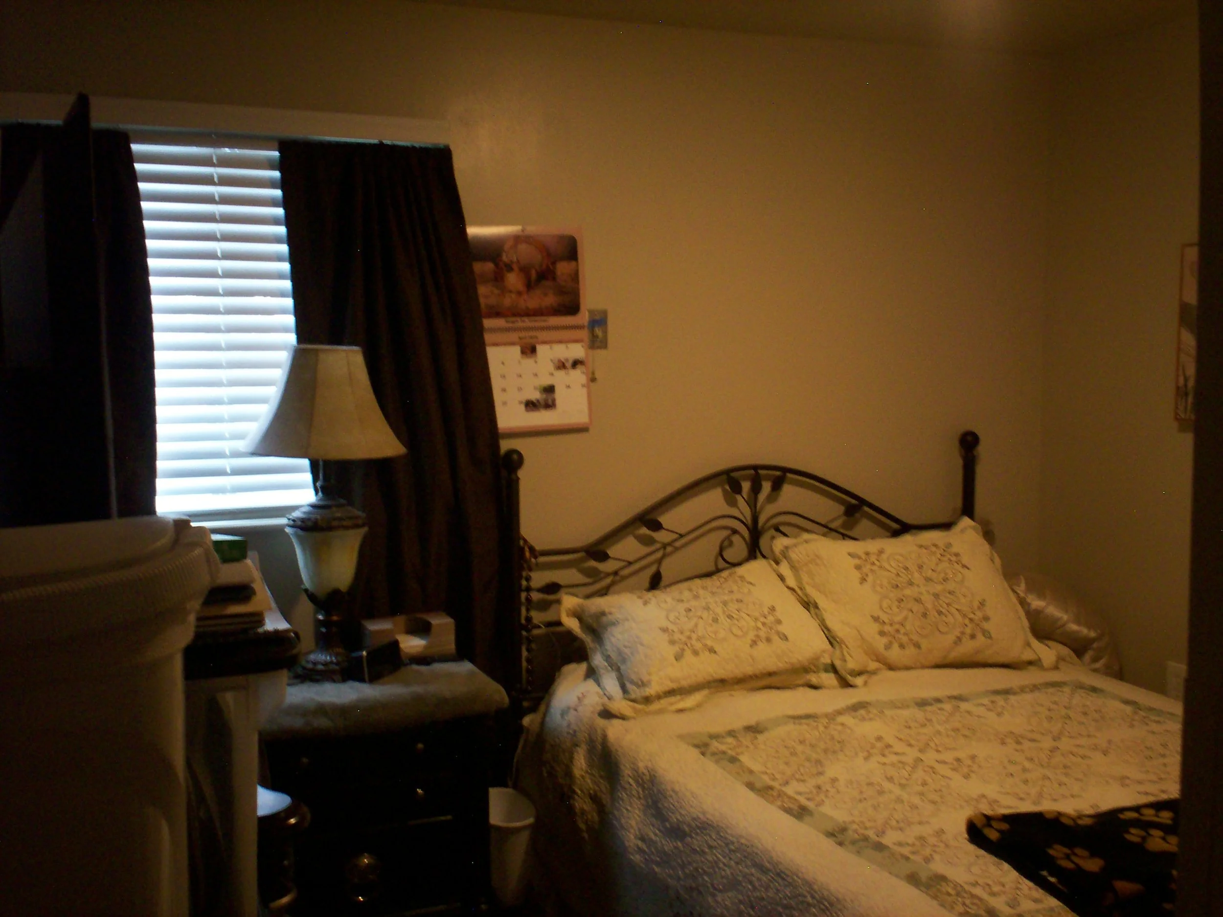 100_0421.JPG