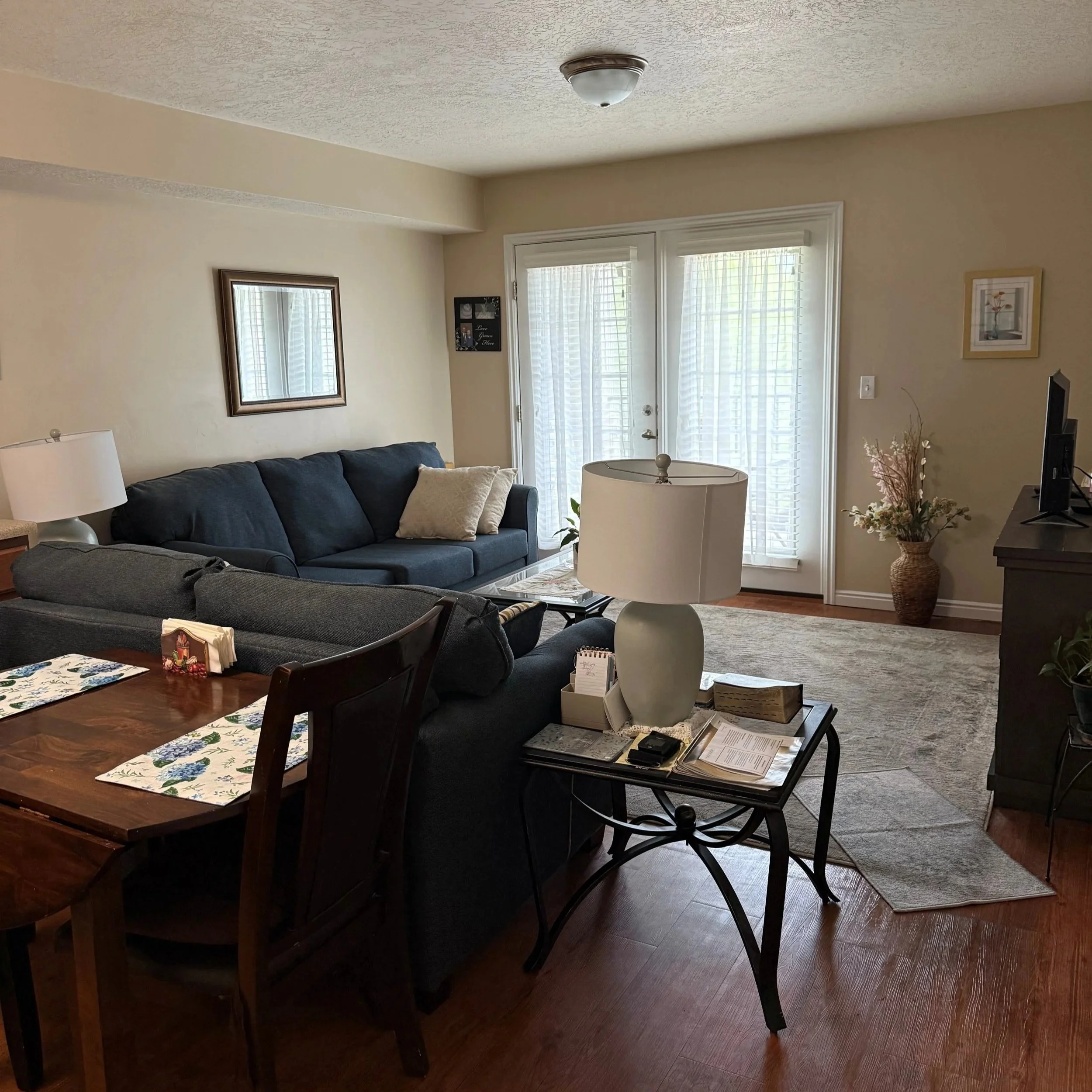 Apt. Living Room.jpg