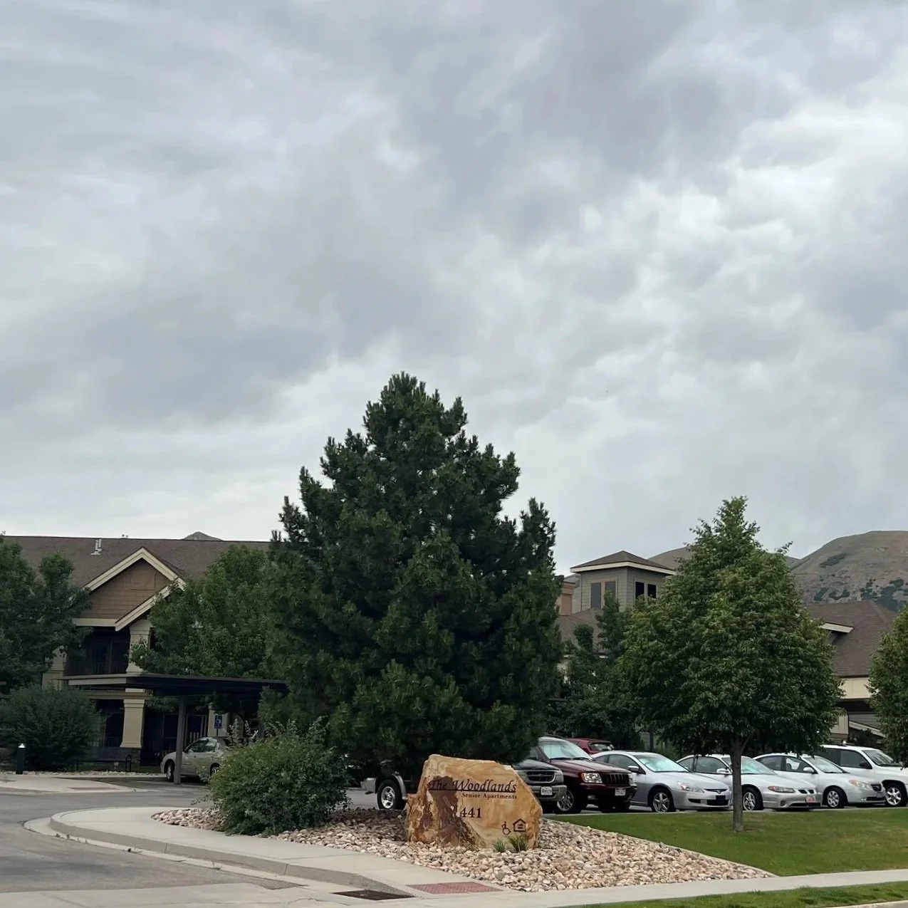 Woodlands picture.jpg