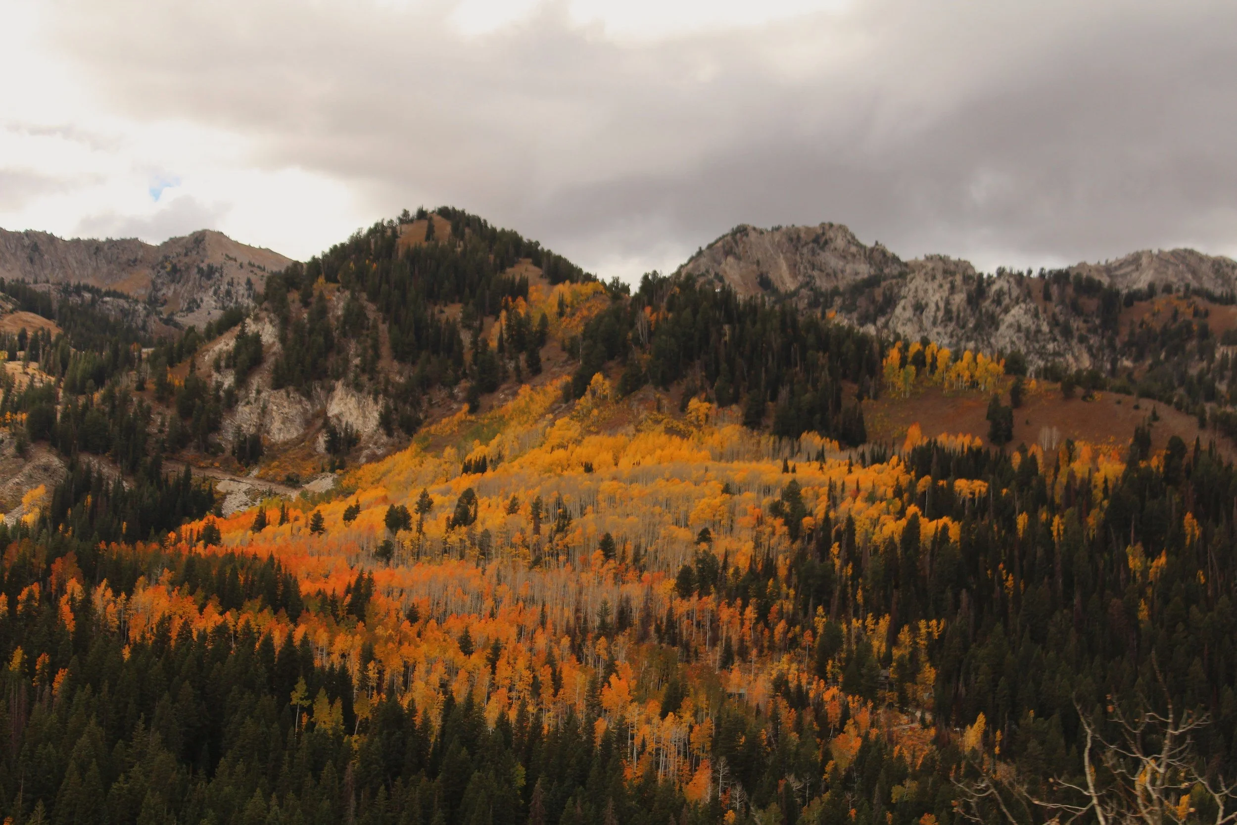Mountain landscape with trees showing fall colors and a cloudy sky.