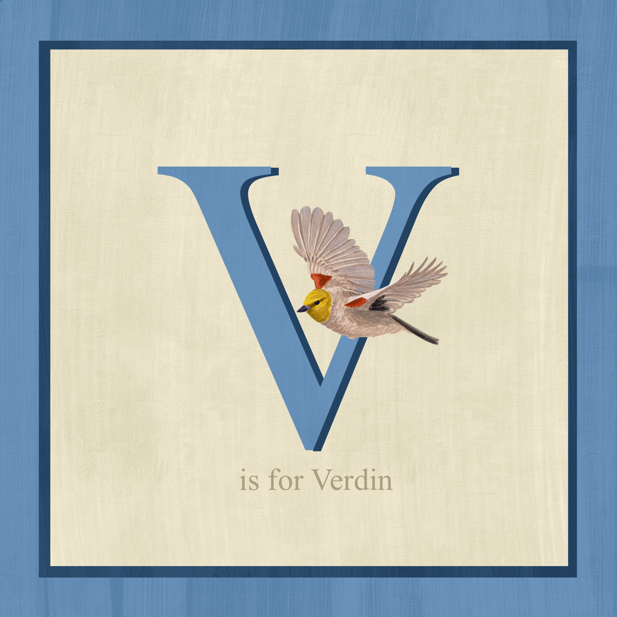 verdin.png