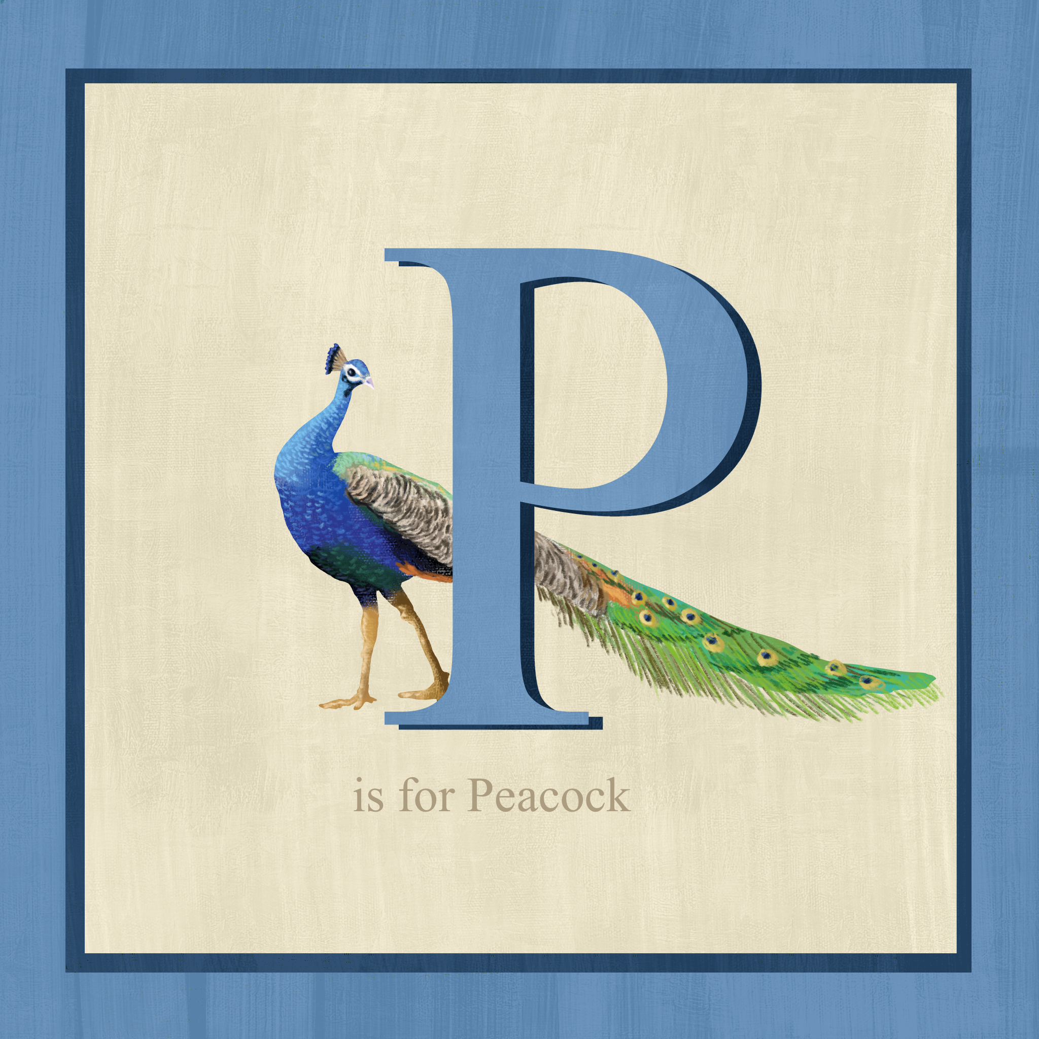 peacock.png