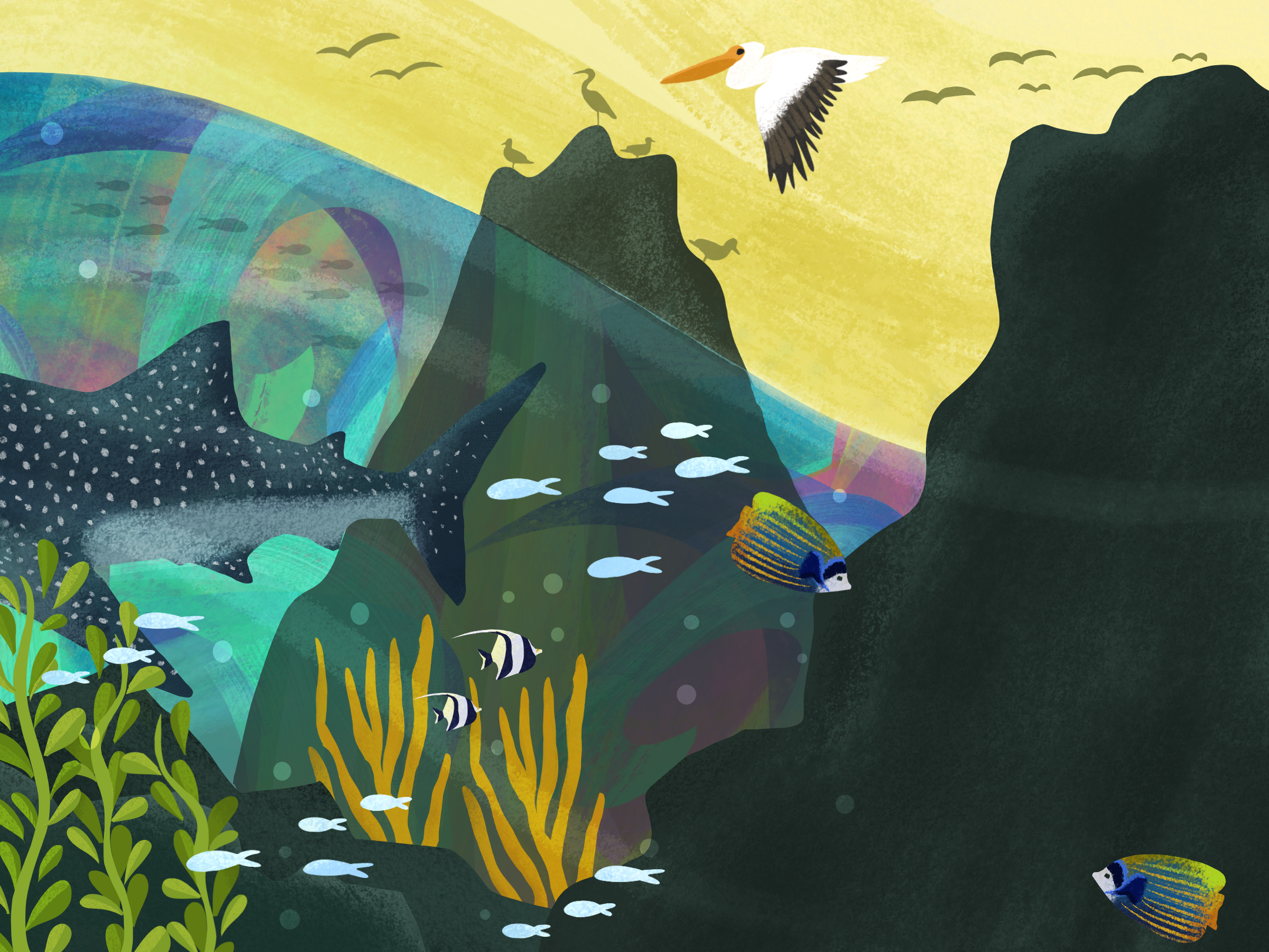 sea_spread_layers_2.png