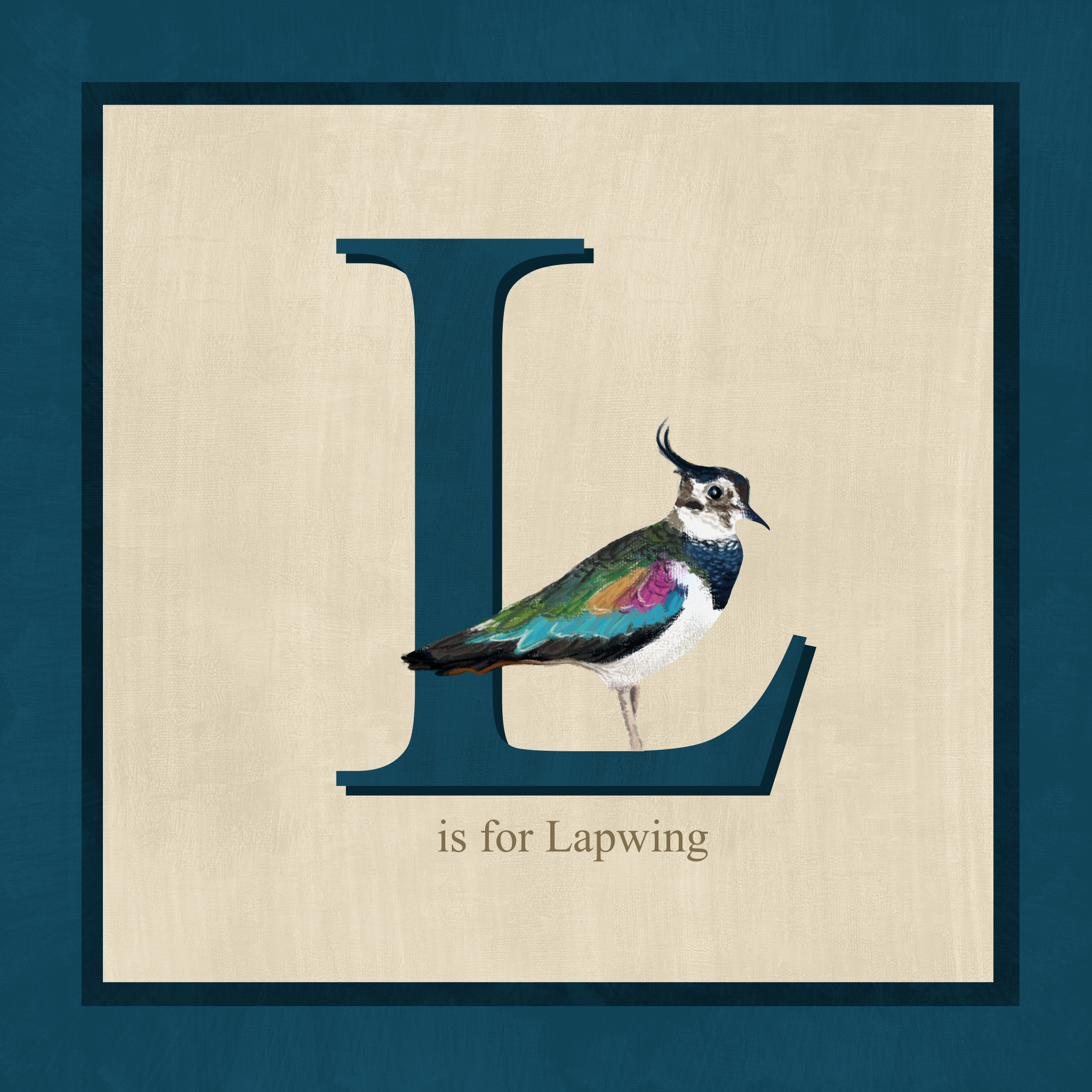 Lapwing.png