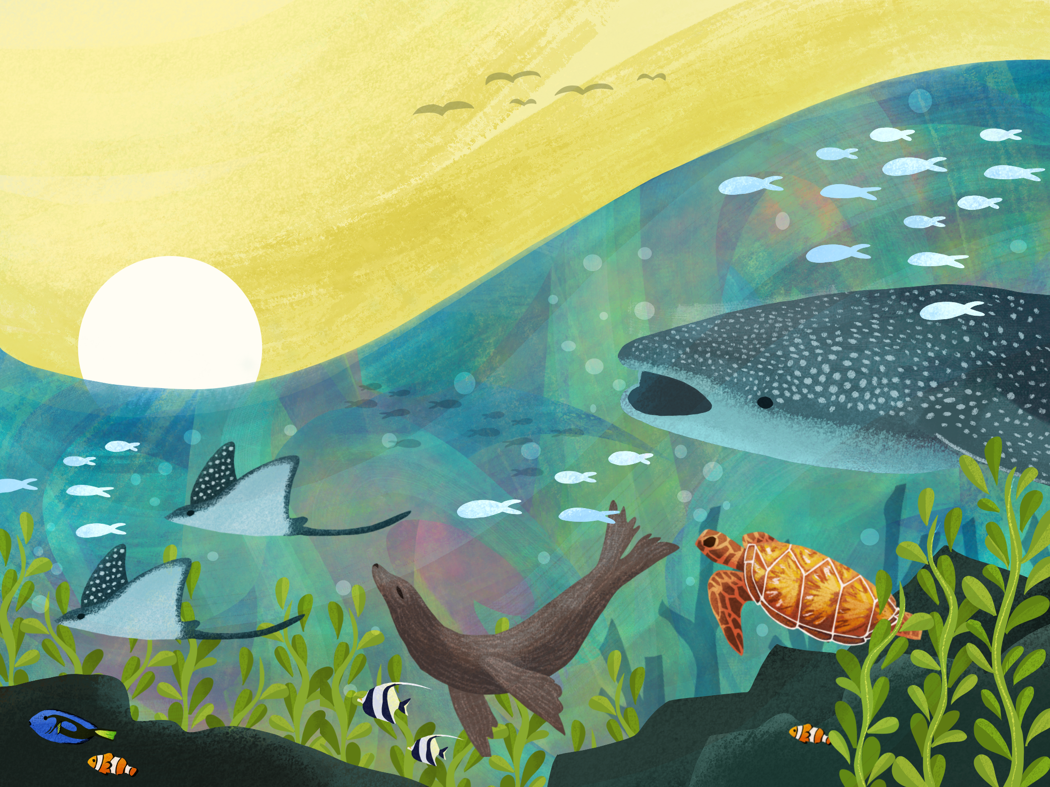 sea_spread_layers.png