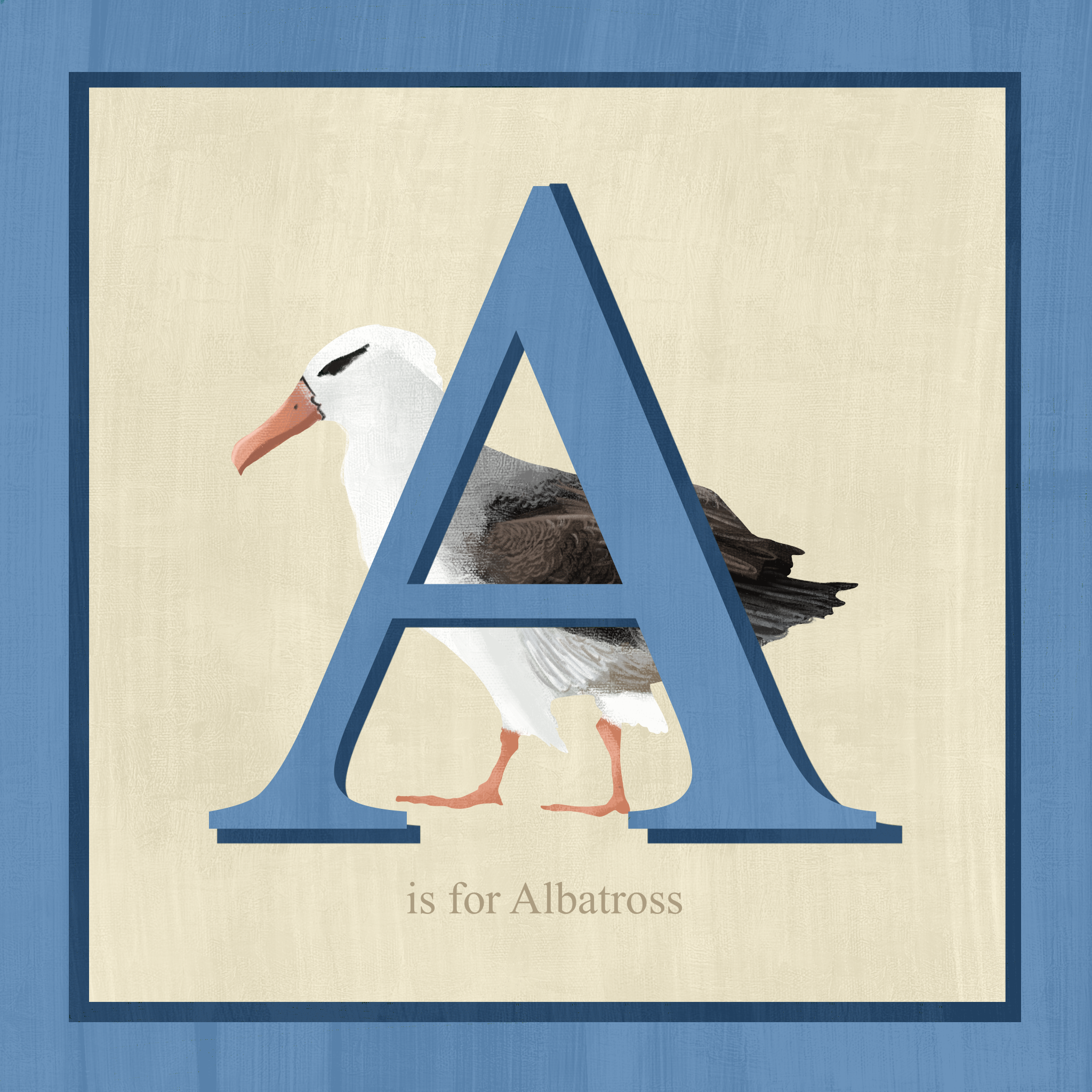 Albatross.png