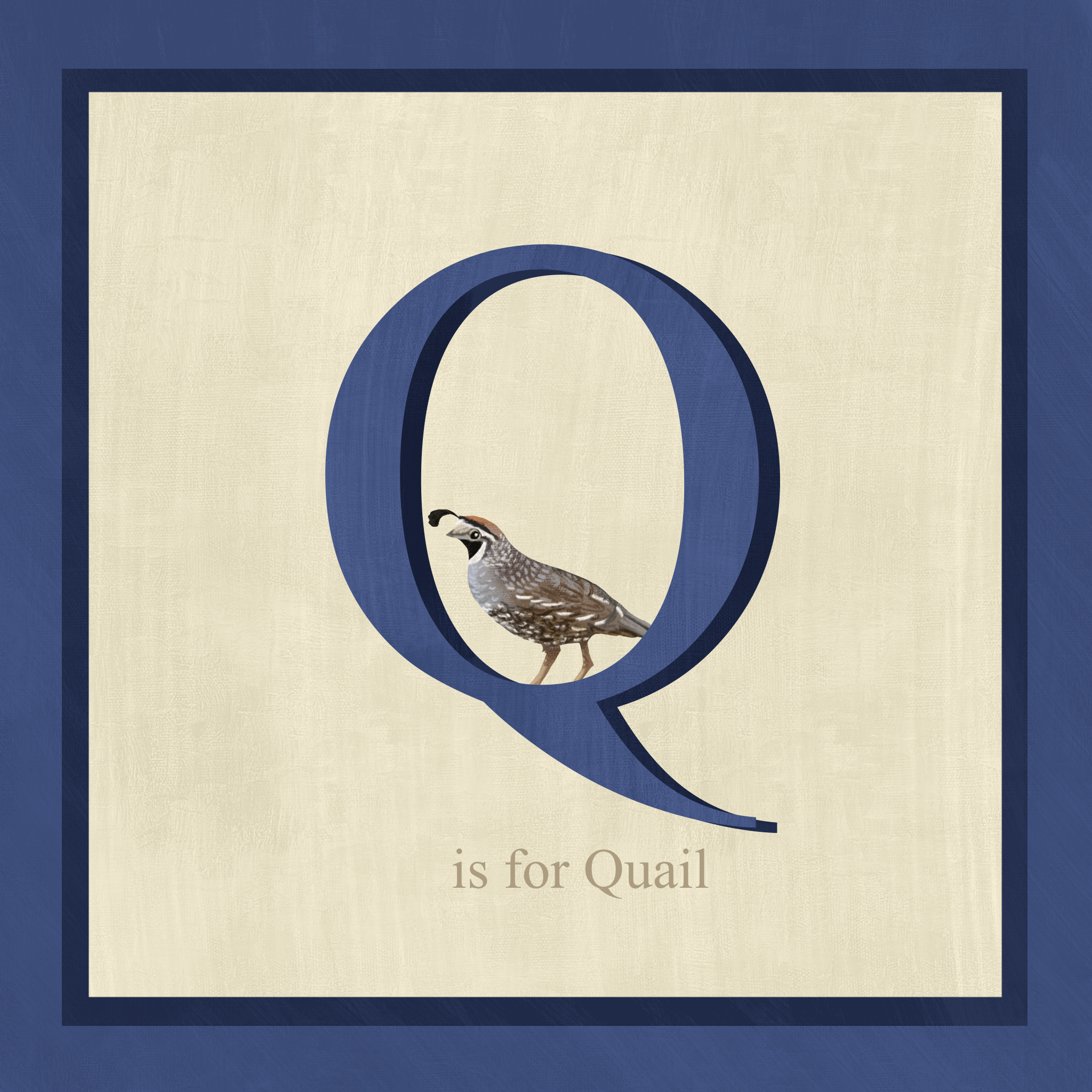 quail.png