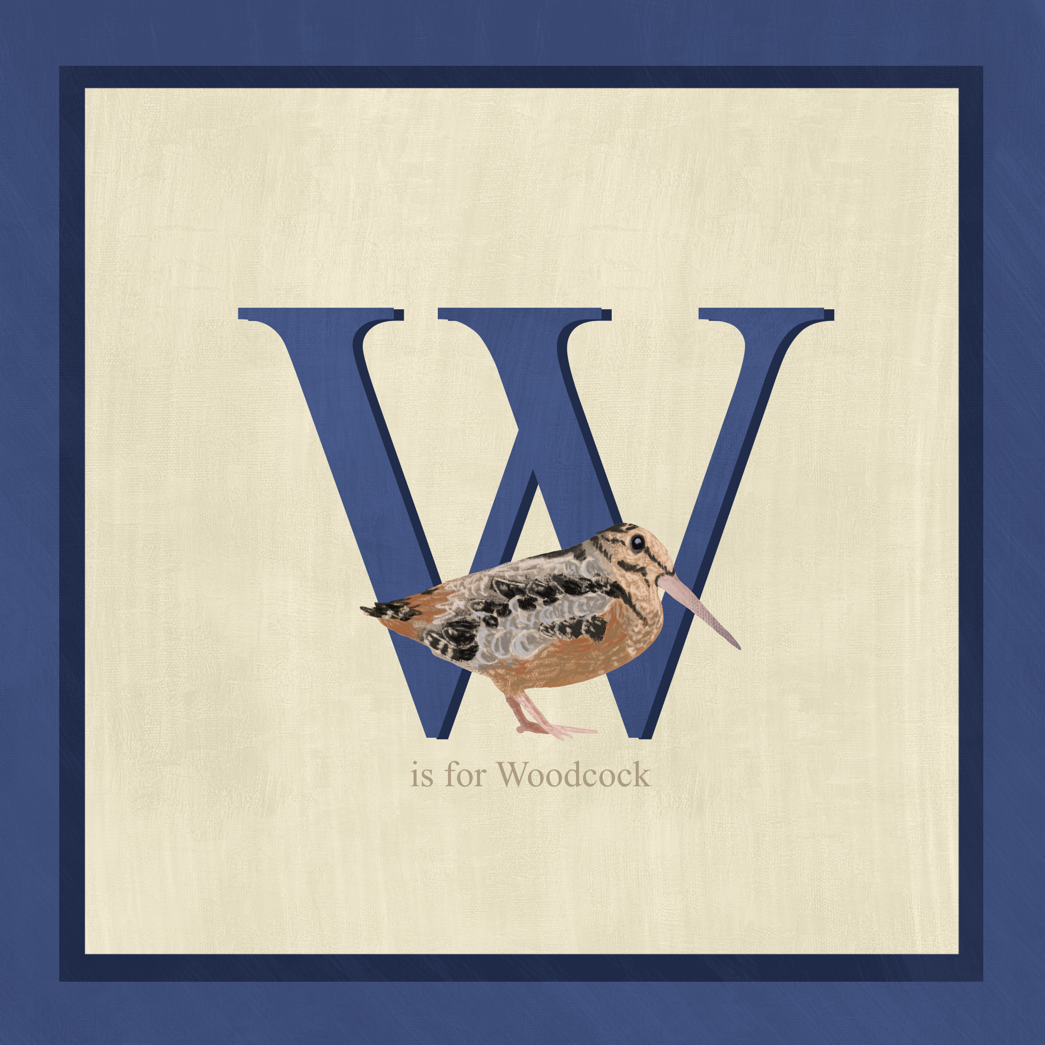 woodcock.png
