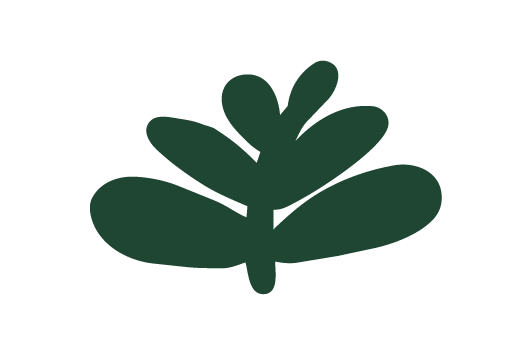  Van Berkels Wholesale Nursery