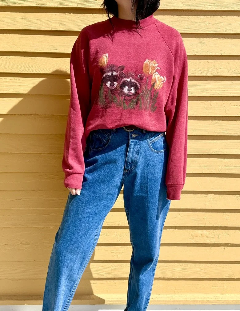 Vintage Handpainted and Signed Racoon Crew