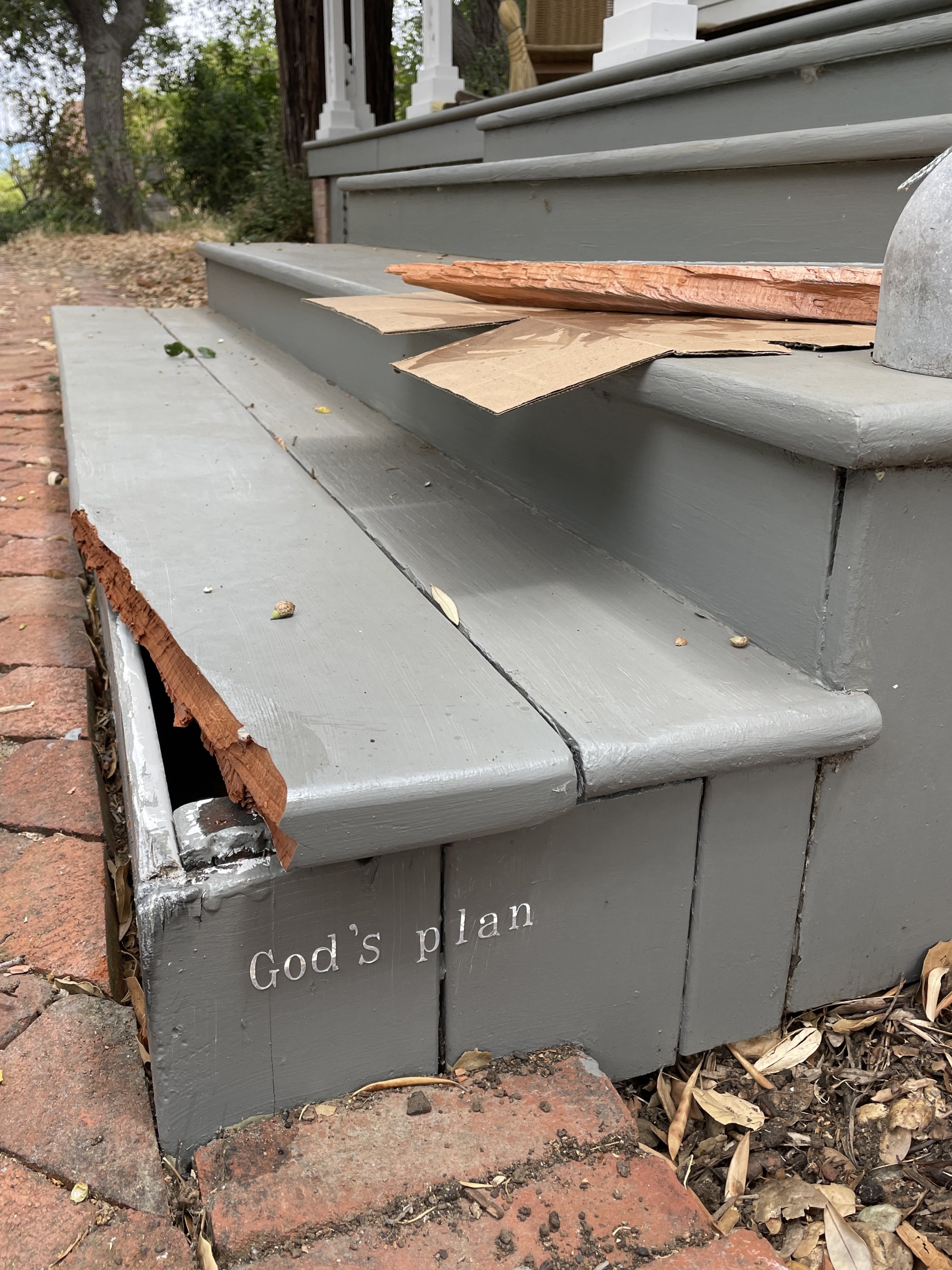 black_kelli_god's plan.jpg