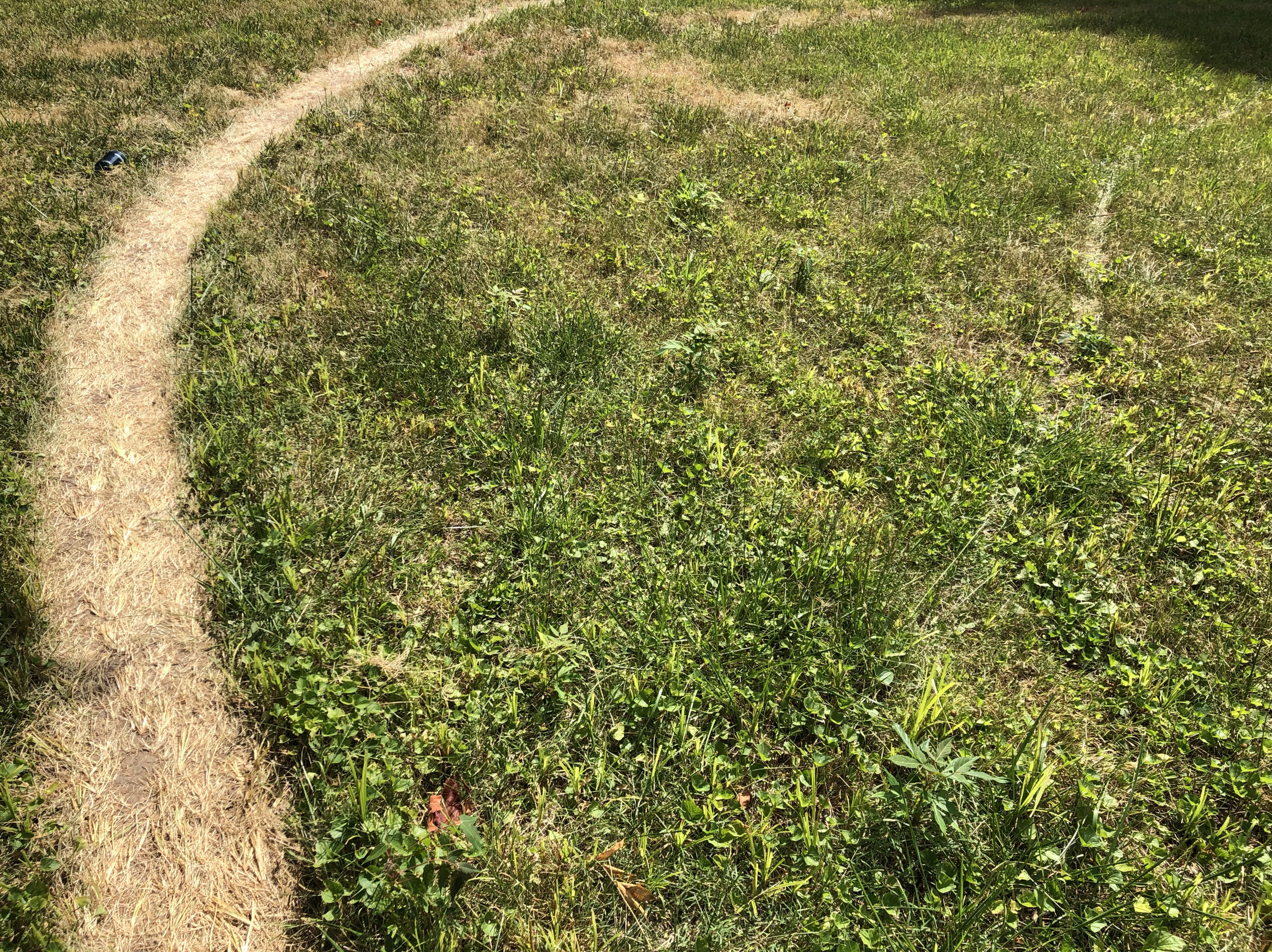 Screenshot 2026-04-07 at 10.28.48 PM.png