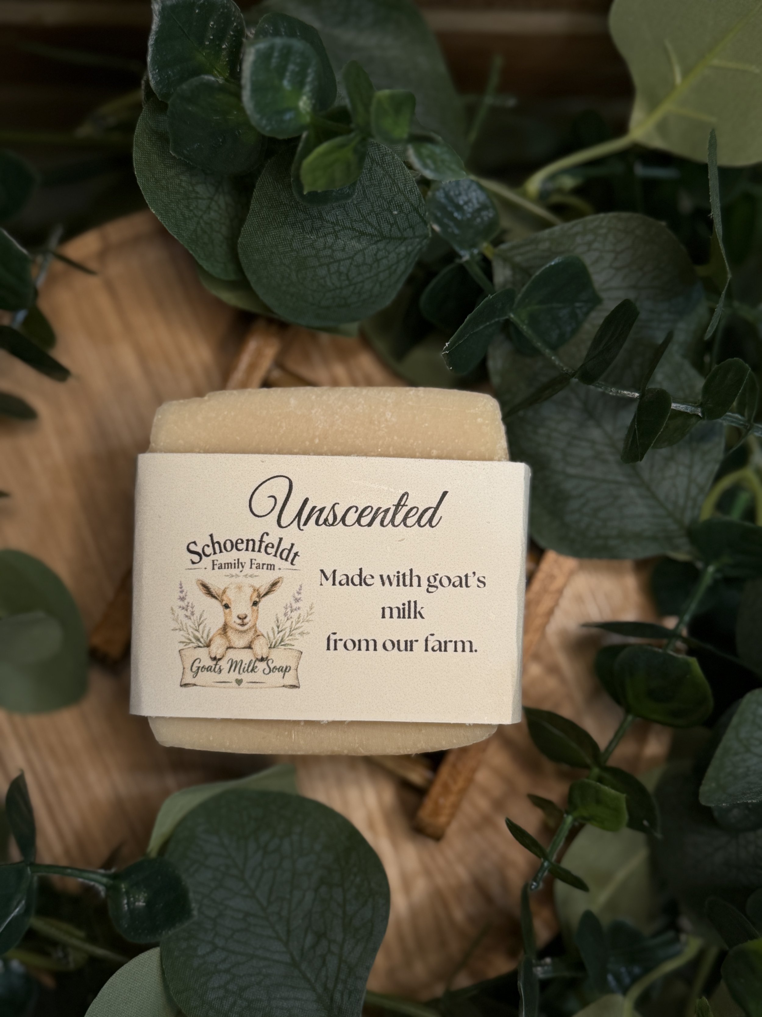 IMG_3154.jpeg
