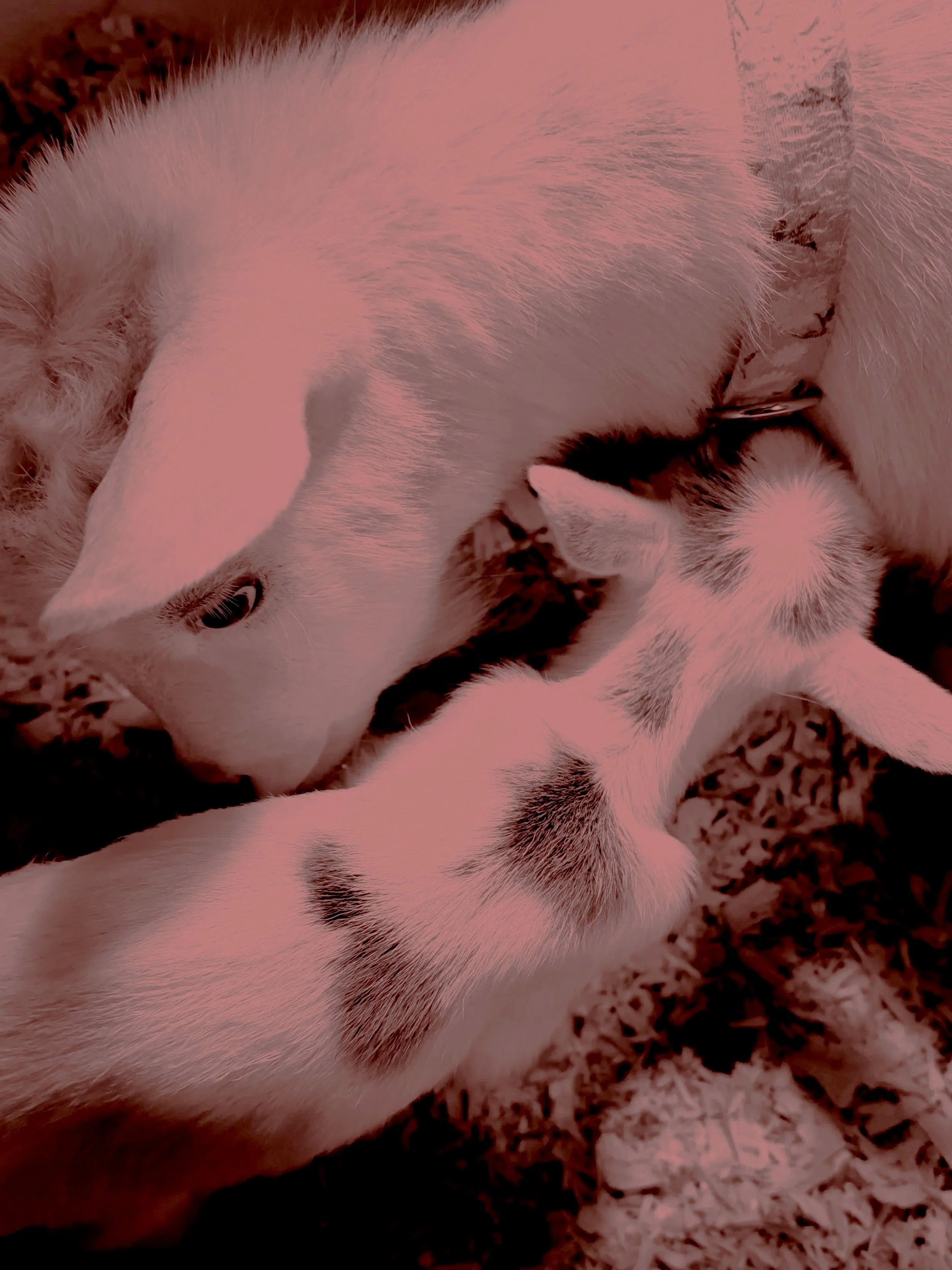 mom and kid