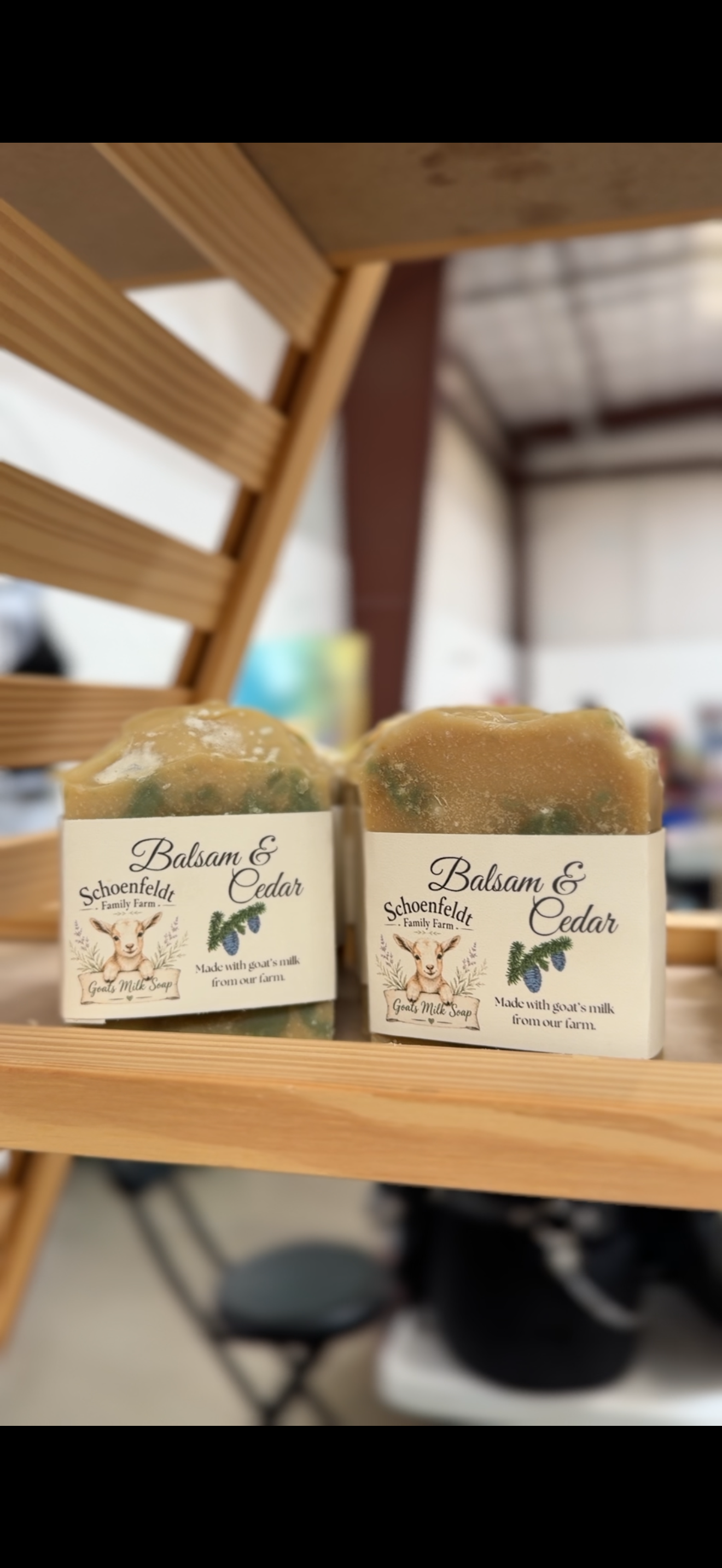 Balsam & Cedar Bar of Soap