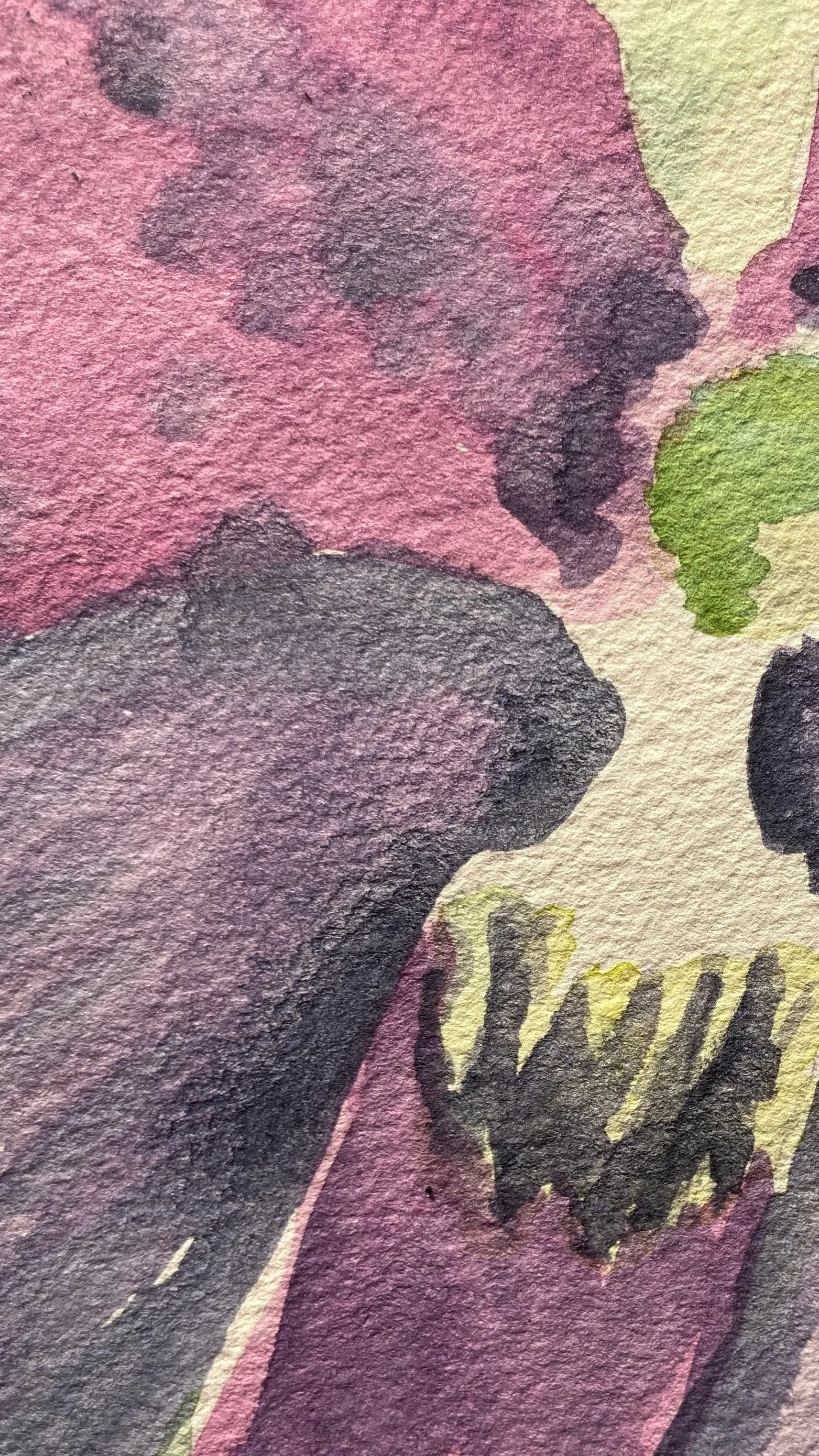 Abstracting the Garden in Watercolor 8/16/26 10am - 12pm