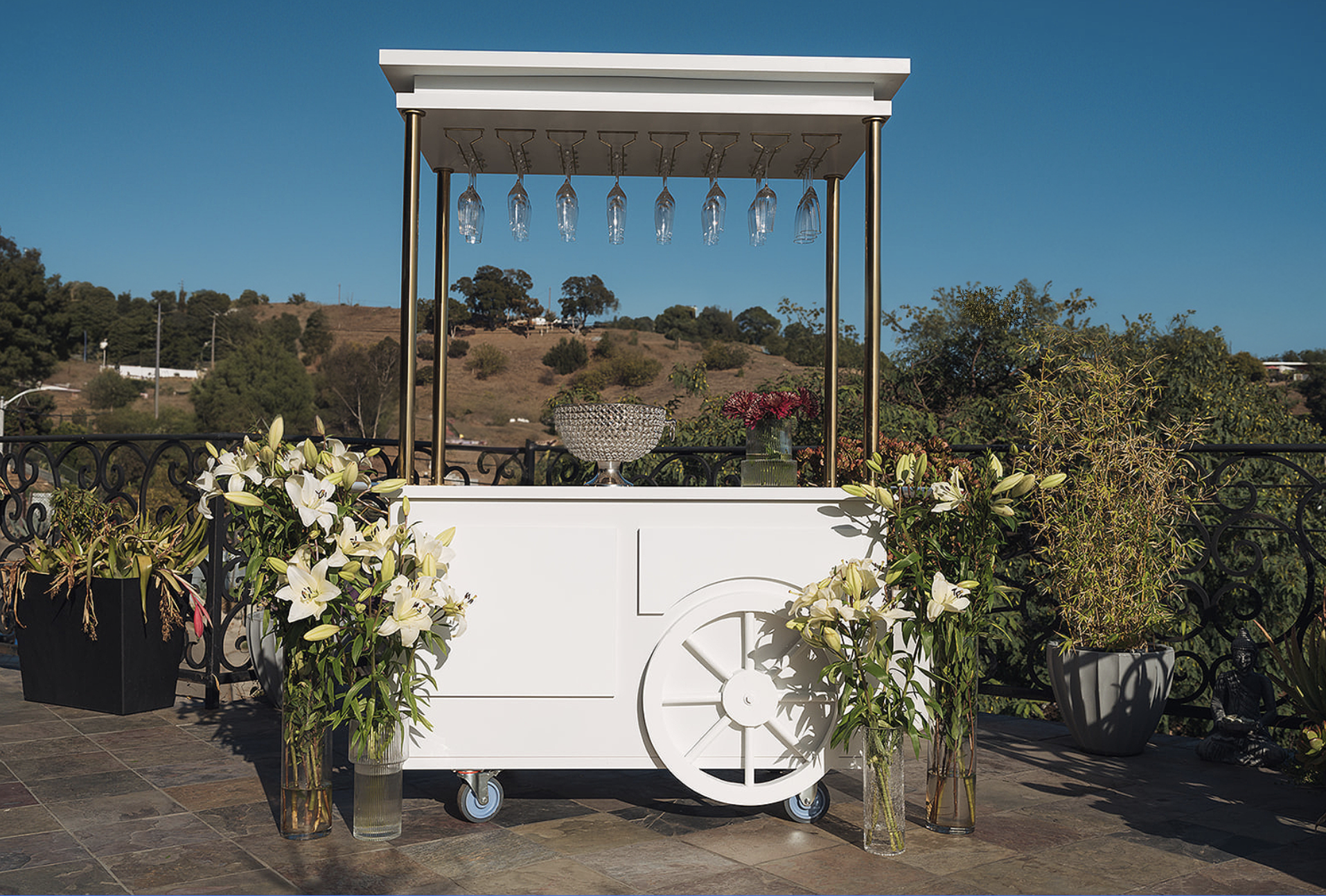 White cart with glass rack.png